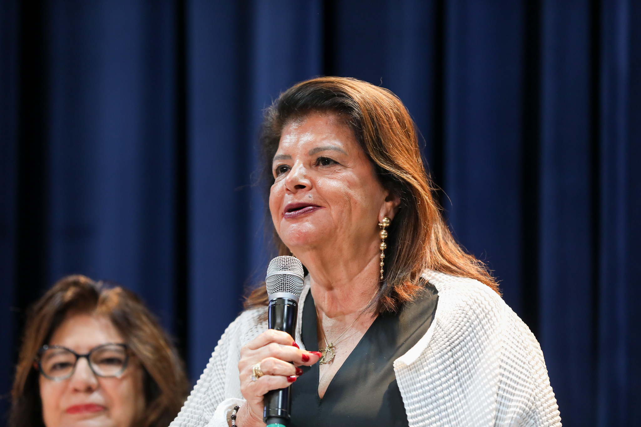 Luiza: violência de gênero é causa universal<a style='float:right;color:#ccc' href='https://www3.al.sp.gov.br/repositorio/noticia/N-05-2025/fg345466.jpg' target=_blank><i class='bi bi-zoom-in'></i> Clique para ver a imagem </a>