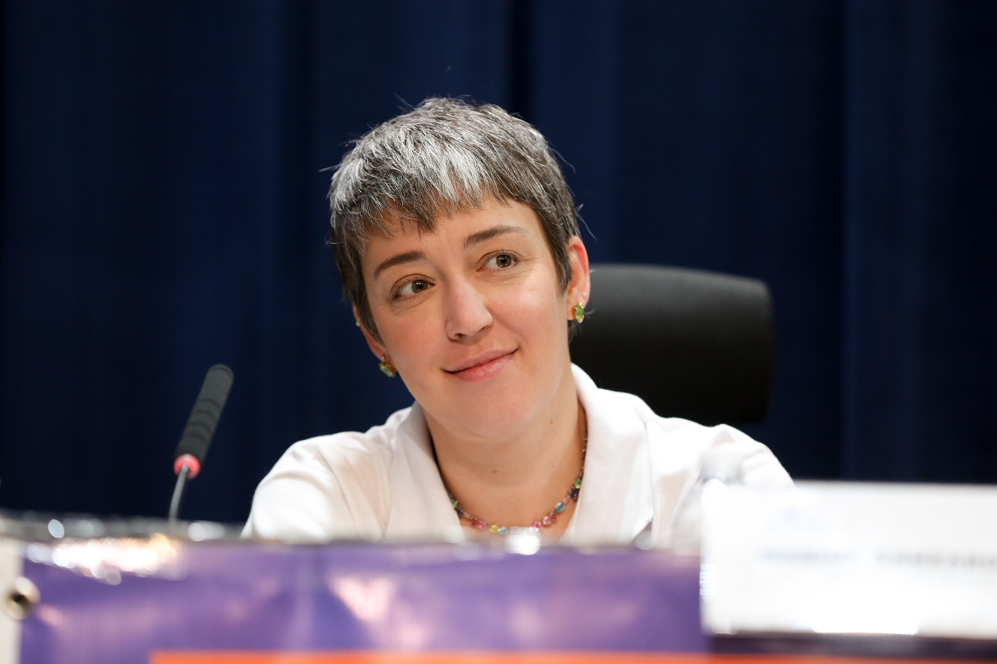 Marina: empoderamento fez violência aumentar<a style='float:right;color:#ccc' href='https://www3.al.sp.gov.br/repositorio/noticia/N-05-2025/fg345470.jpg' target=_blank><i class='bi bi-zoom-in'></i> Clique para ver a imagem </a>