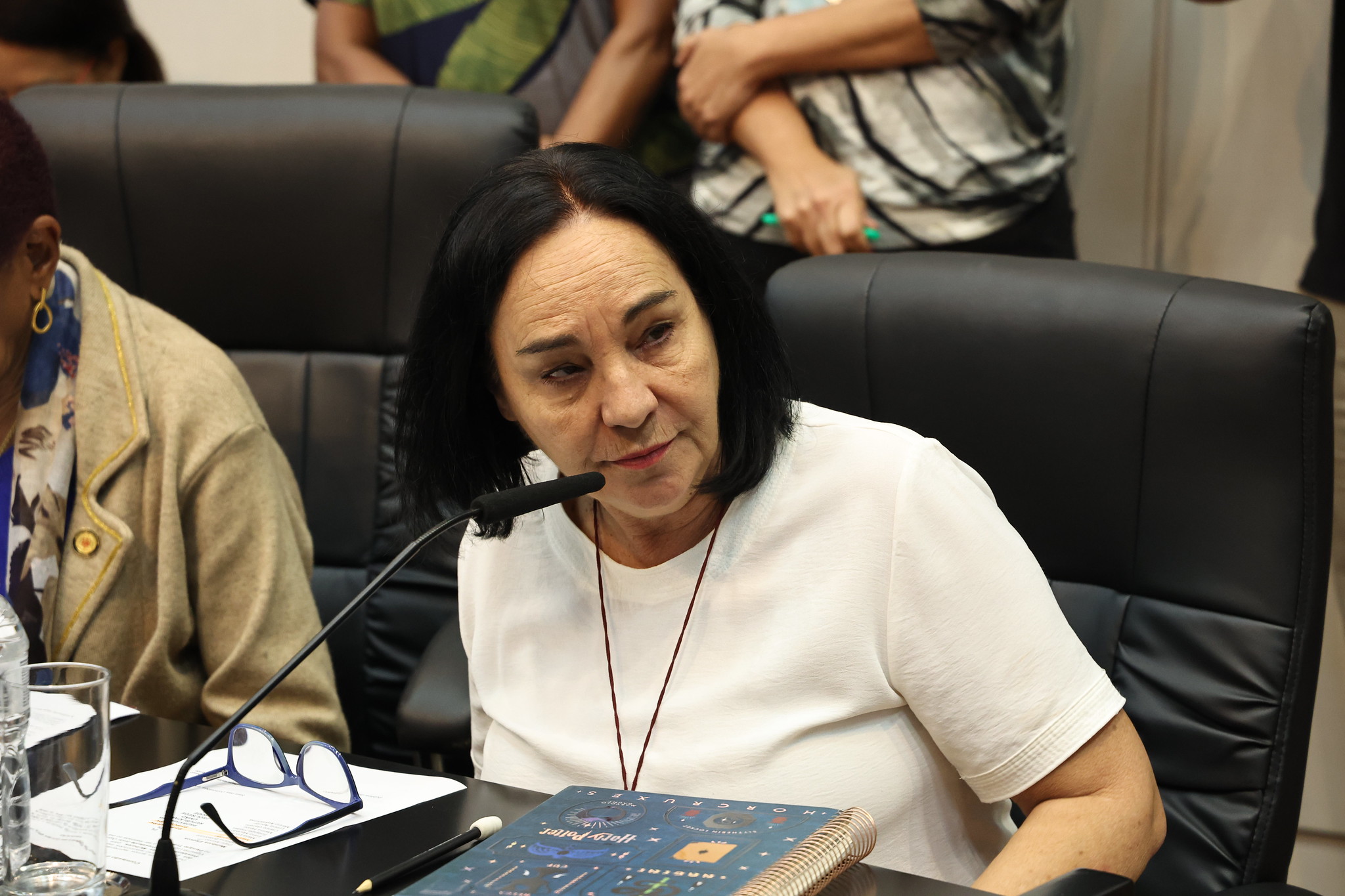 Dep. Mrcia Lia (PT): vice<a style='float:right;color:#ccc' href='https://www3.al.sp.gov.br/repositorio/noticia/N-05-2025/fg345829.jpg' target=_blank><i class='bi bi-zoom-in'></i> Clique para ver a imagem </a>