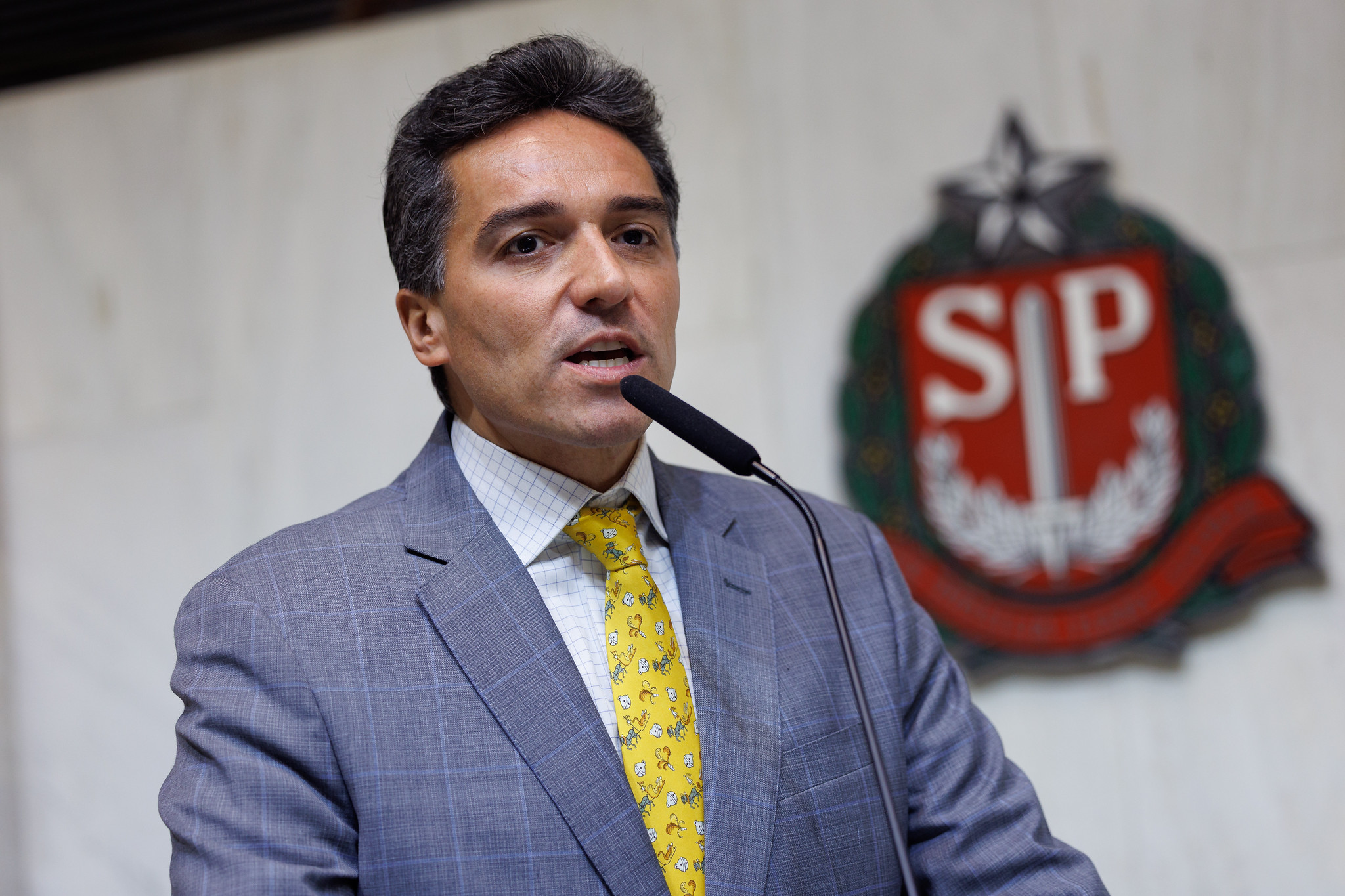 Deputado Paulo Mansur <a style='float:right' href='https://www3.al.sp.gov.br/repositorio/noticia/N-05-2026/fg364484.jpg' target=_blank><img src='/_img/material-file-download-white.png' width='14px' alt='Clique para baixar a imagem'></a>