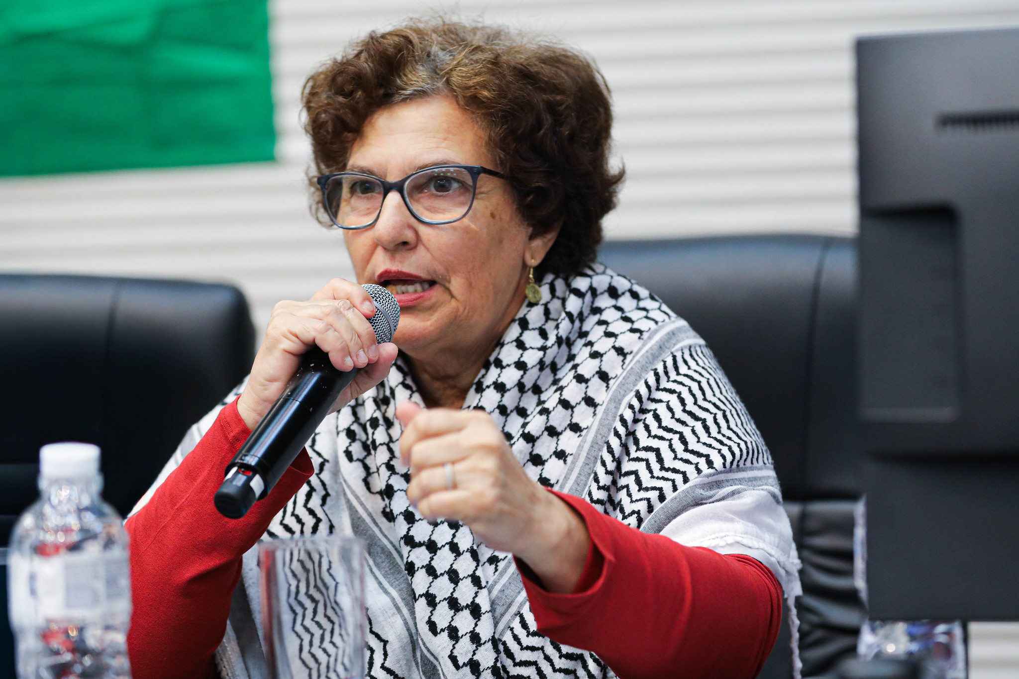 Terezinha Pinto: �pice da cat�strofe<a style='float:right;color:#ccc' href='https://www3.al.sp.gov.br/repositorio/noticia/N-05-2026/fg364643.jpg' target=_blank><i class='bi bi-zoom-in'></i> Clique para ver a imagem </a>