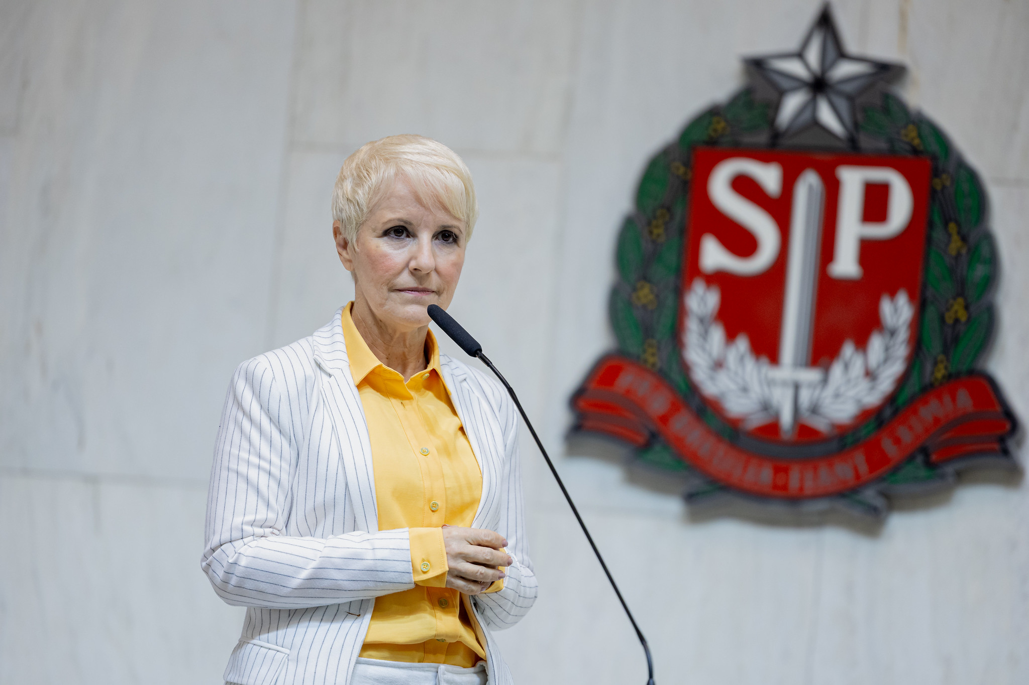 Deputada Dra Damaris Moura  <a style='float:right;color:#ccc' href='https://www3.al.sp.gov.br/repositorio/noticia/N-05-2026/fg364749.jpg' target=_blank><i class='bi bi-zoom-in'></i> Clique para ver a imagem </a>