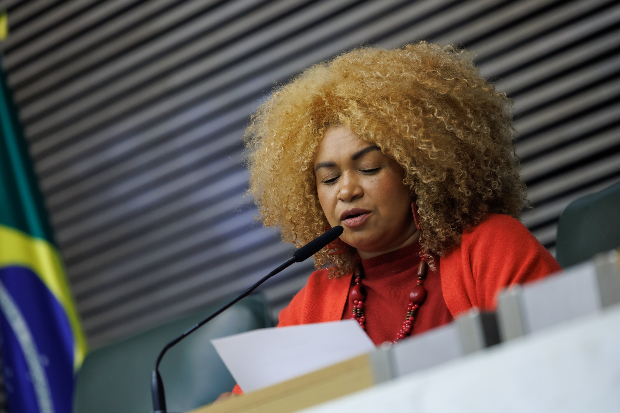 Ediane Maria (Psol)<a style='float:right;color:#ccc' href='https://www3.al.sp.gov.br/repositorio/noticia/N-05-2026/fg364786.jpg' target=_blank><i class='bi bi-zoom-in'></i> Clique para ver a imagem </a>