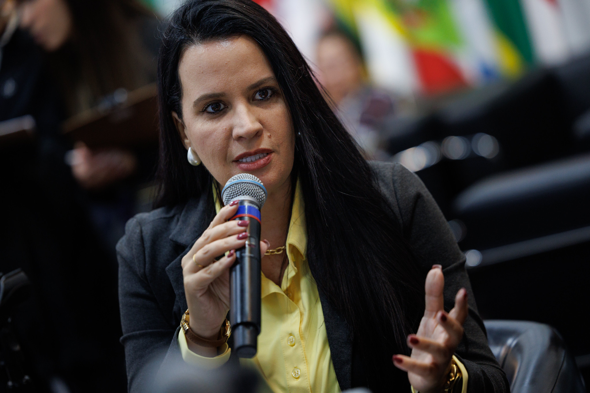Let�cia Aguiar: moderniza a legisla��o<a style='float:right;color:#ccc' href='https://www3.al.sp.gov.br/repositorio/noticia/N-05-2026/fg364794.jpg' target=_blank><i class='bi bi-zoom-in'></i> Clique para ver a imagem </a>