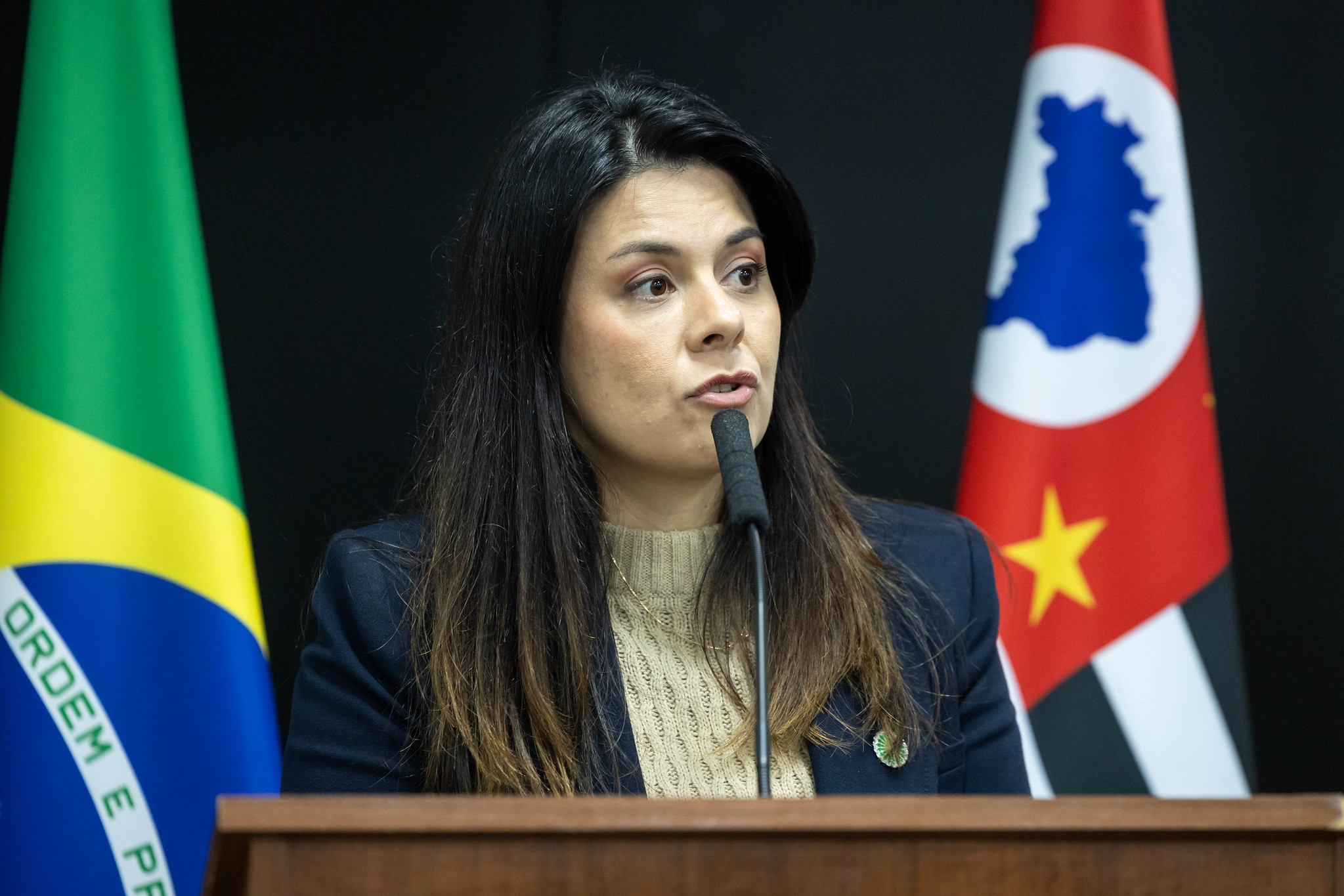 Luana Lima<a style='float:right;color:#ccc' href='https://www3.al.sp.gov.br/repositorio/noticia/N-05-2026/fg364812.jpg' target=_blank><i class='bi bi-zoom-in'></i> Clique para ver a imagem </a>