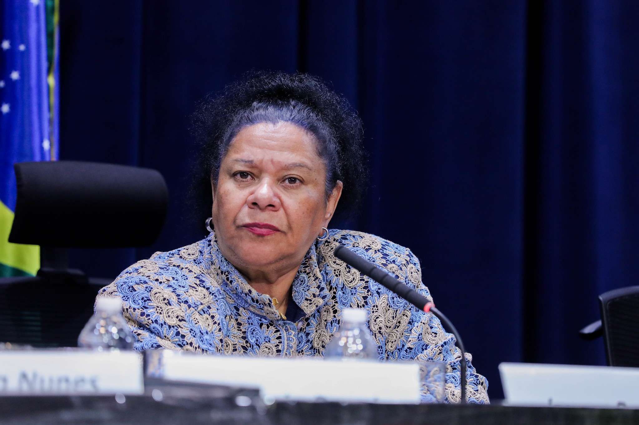 Isaura Panfile - presidente da Adesp<a style='float:right;color:#ccc' href='https://www3.al.sp.gov.br/repositorio/noticia/N-05-2026/fg365049.jpg' target=_blank><i class='bi bi-zoom-in'></i> Clique para ver a imagem </a>