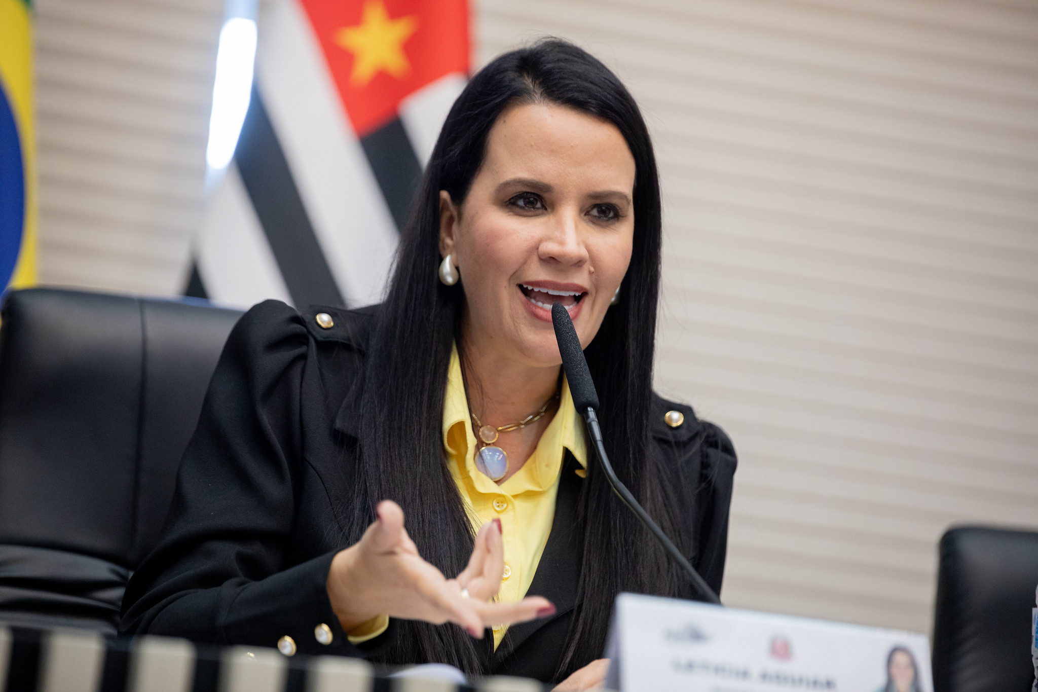 Deputada Leticia Aguiar, proponente da solenidade<a style='float:right;color:#ccc' href='https://www3.al.sp.gov.br/repositorio/noticia/N-05-2026/fg365110.jpg' target=_blank><i class='bi bi-zoom-in'></i> Clique para ver a imagem </a>