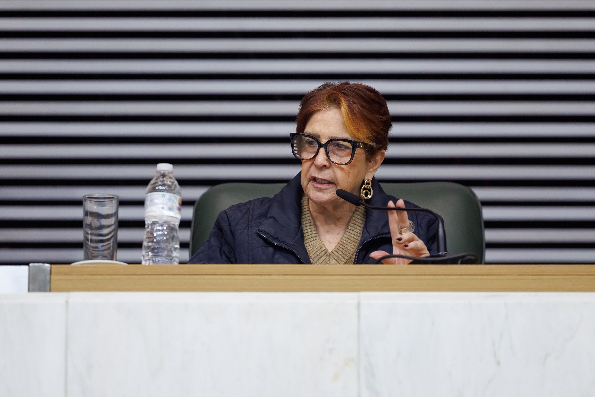Edna Macedo<a style='float:right;color:#ccc' href='https://www3.al.sp.gov.br/repositorio/noticia/N-05-2026/fg365281.jpg' target=_blank><i class='bi bi-zoom-in'></i> Clique para ver a imagem </a>