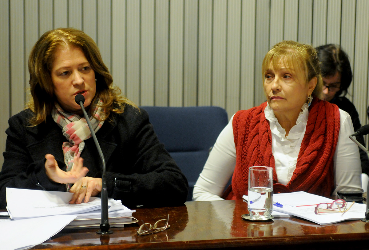 Regina Gonalves, relatora e Maria Lcia Amary <a style='float:right;color:#ccc' href='https://www3.al.sp.gov.br/repositorio/noticia/N-06-2012/fg115890.jpg' target=_blank><i class='bi bi-zoom-in'></i> Clique para ver a imagem </a>