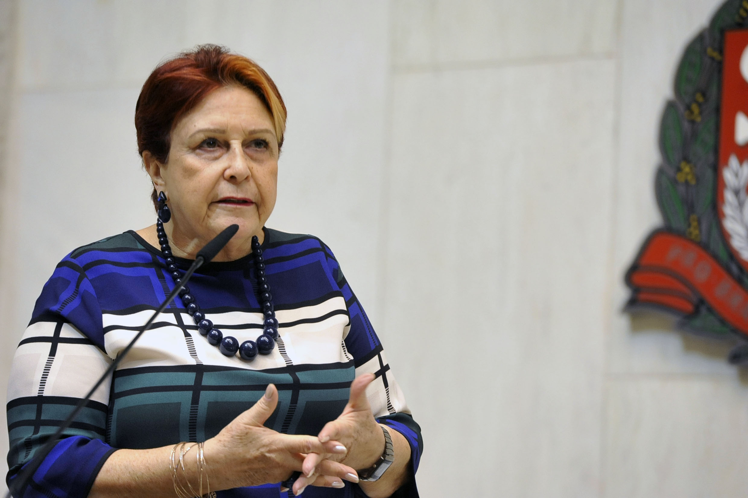 Edna Macedo<a style='float:right' href='https://www3.al.sp.gov.br/repositorio/noticia/N-06-2020/fg249479.jpg' target=_blank><img src='/_img/material-file-download-white.png' width='14px' alt='Clique para baixar a imagem'></a>