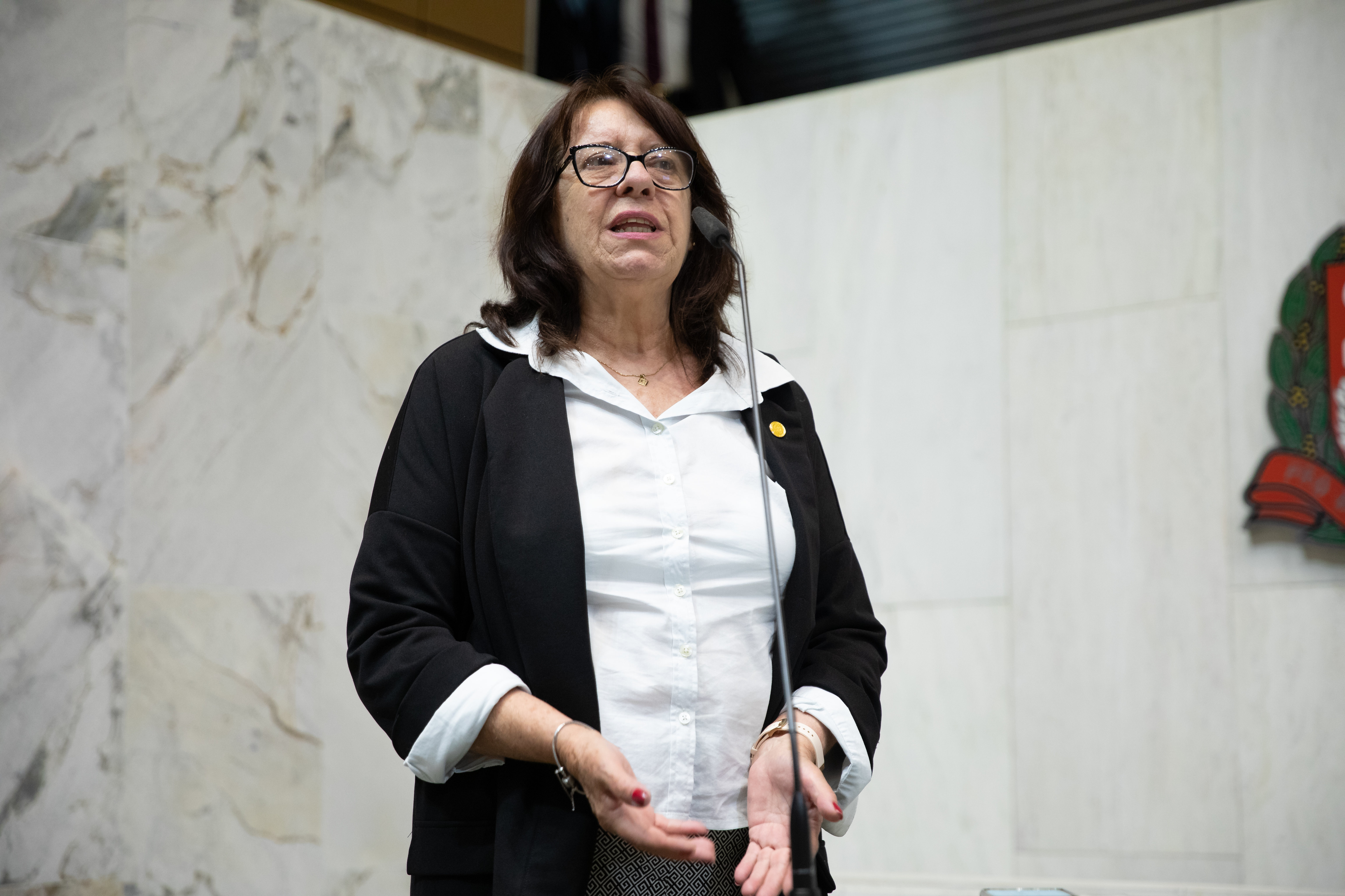 Deputada Clarice Ganem (Podemos)<a style='float:right;color:#ccc' href='https://www3.al.sp.gov.br/repositorio/noticia/N-06-2023/fg304239.jpg' target=_blank><i class='bi bi-zoom-in'></i> Clique para ver a imagem </a>
