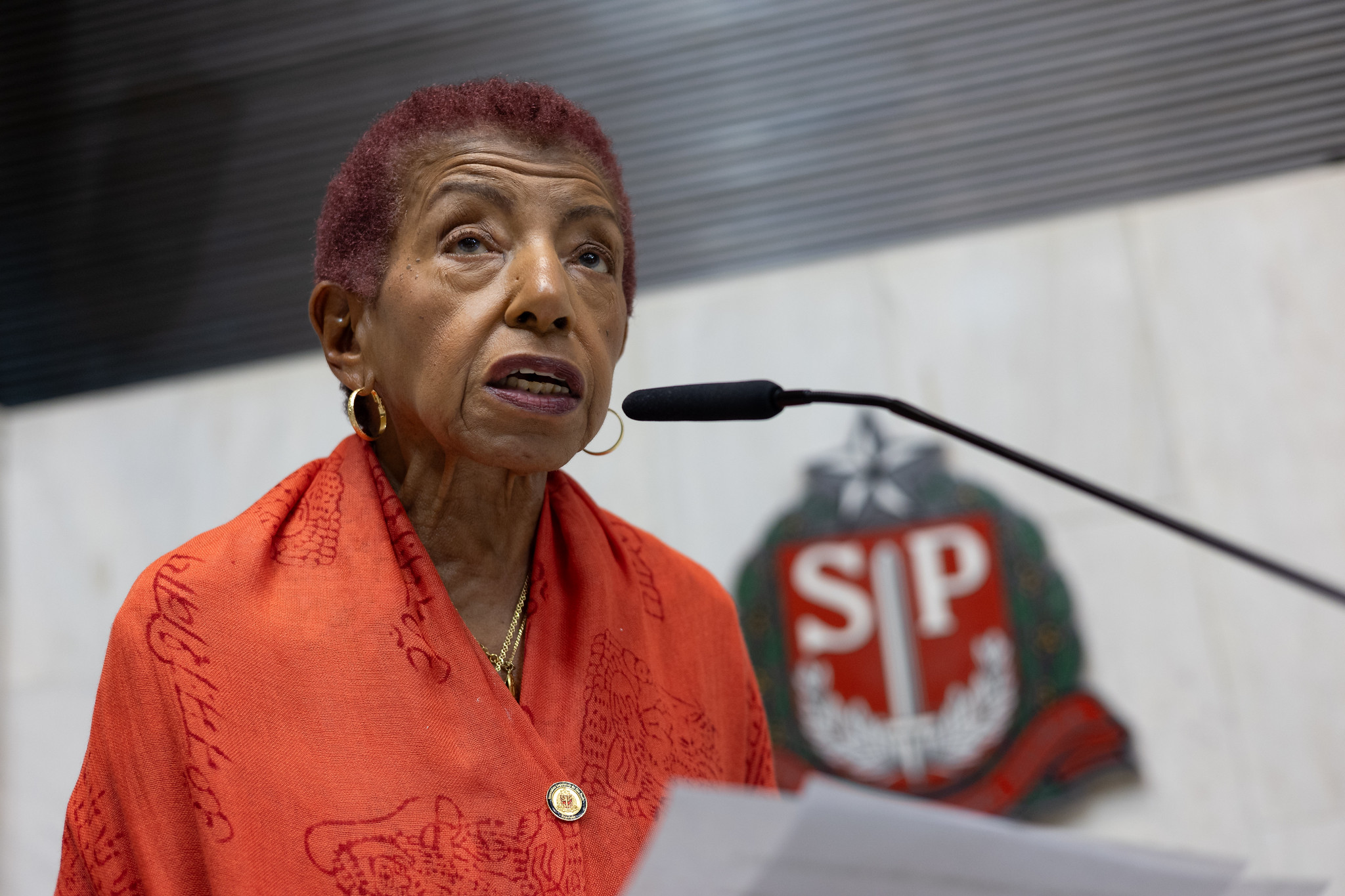 Dep. Leci Brando <a style='float:right;color:#ccc' href='https://www3.al.sp.gov.br/repositorio/noticia/N-06-2024/fg328494.jpg' target=_blank><i class='bi bi-zoom-in'></i> Clique para ver a imagem </a>