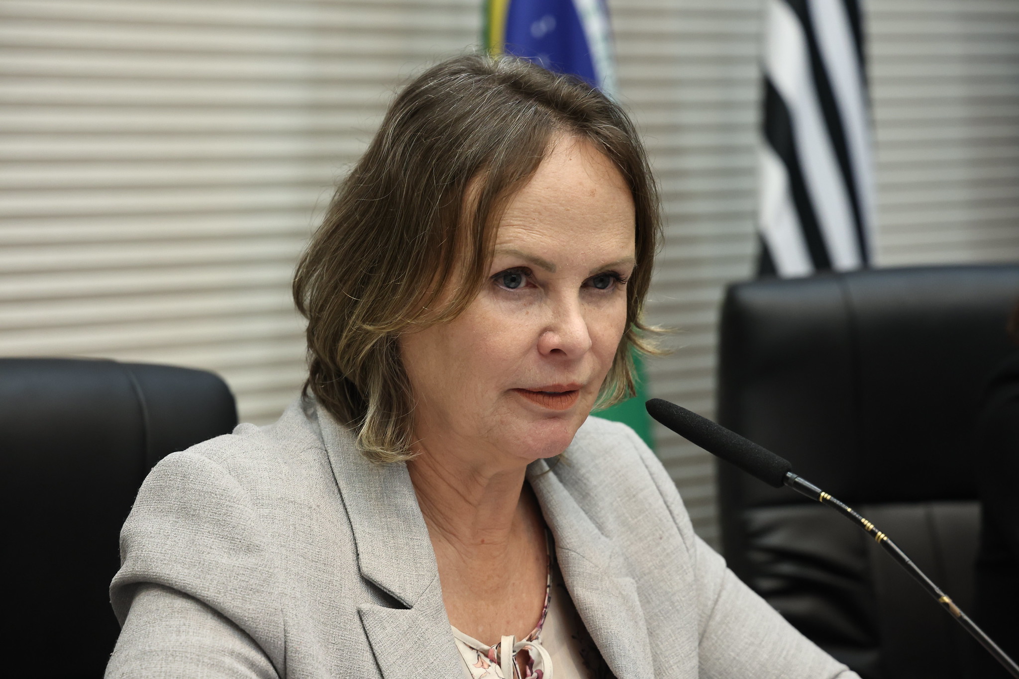 Deputada Ana Perugini<a style='float:right;color:#ccc' href='https://www3.al.sp.gov.br/repositorio/noticia/N-06-2024/fg329220.jpg' target=_blank><i class='bi bi-zoom-in'></i> Clique para ver a imagem </a>