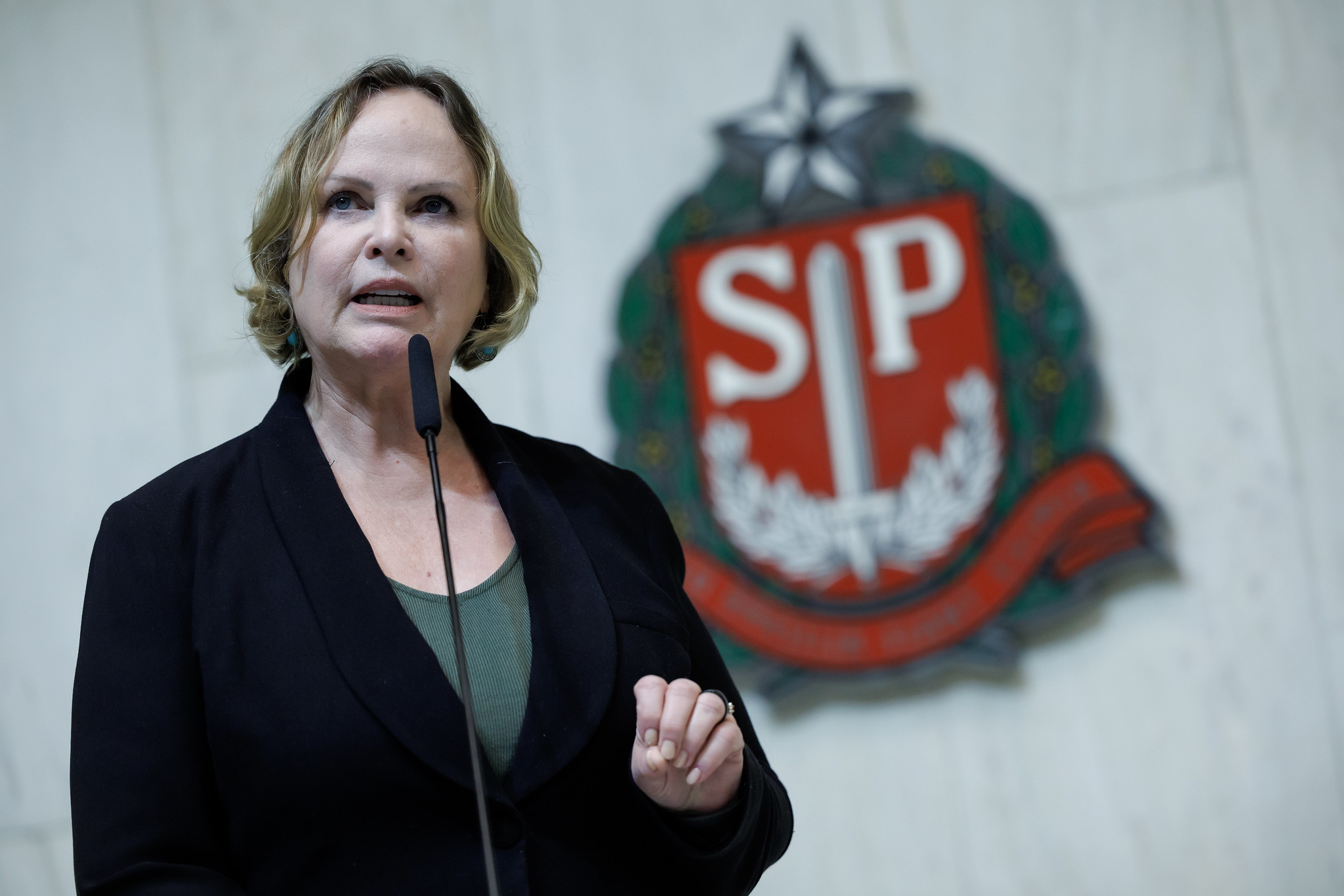 Dep. Ana Perugini (PT) <a style='float:right;color:#ccc' href='https://www3.al.sp.gov.br/repositorio/noticia/N-06-2025/fg346259.jpg' target=_blank><i class='bi bi-zoom-in'></i> Clique para ver a imagem </a>