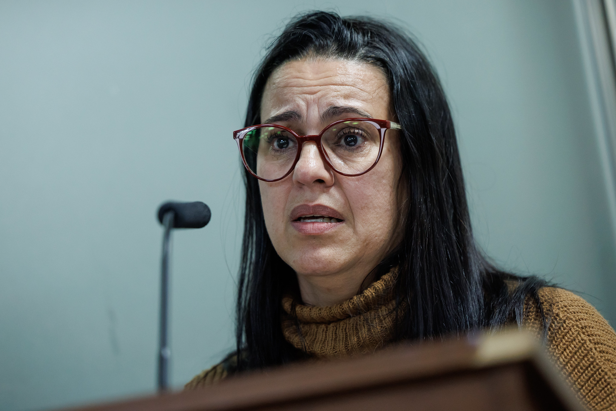 Mariza: no podemos permitir mais vidas perdidas<a style='float:right;color:#ccc' href='https://www3.al.sp.gov.br/repositorio/noticia/N-06-2025/fg347008.jpg' target=_blank><i class='bi bi-zoom-in'></i> Clique para ver a imagem </a>