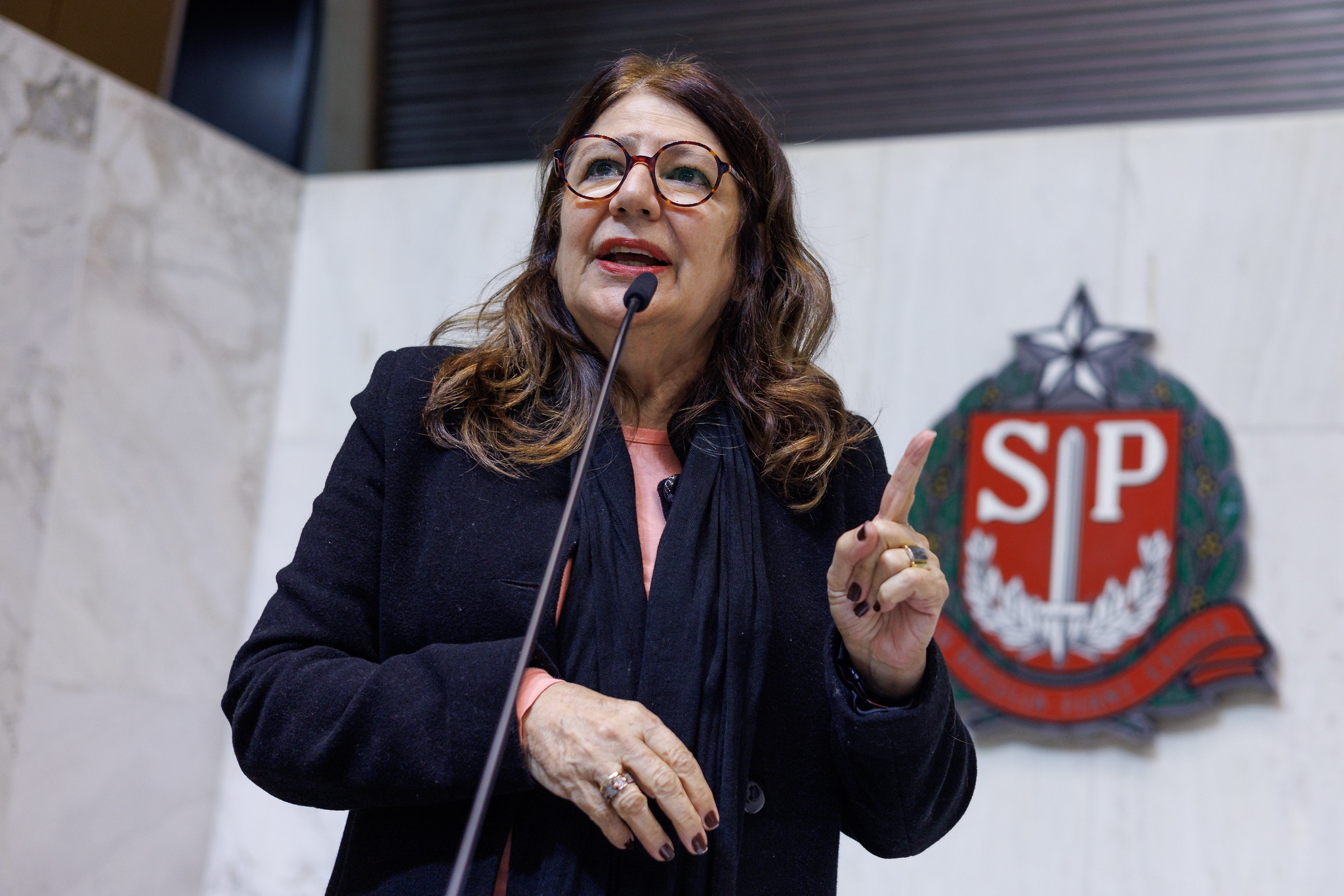 Beth Sahão (PT)<a style='float:right;color:#ccc' href='https://www3.al.sp.gov.br/repositorio/noticia/N-06-2025/fg347056.jpg' target=_blank><i class='bi bi-zoom-in'></i> Clique para ver a imagem </a>