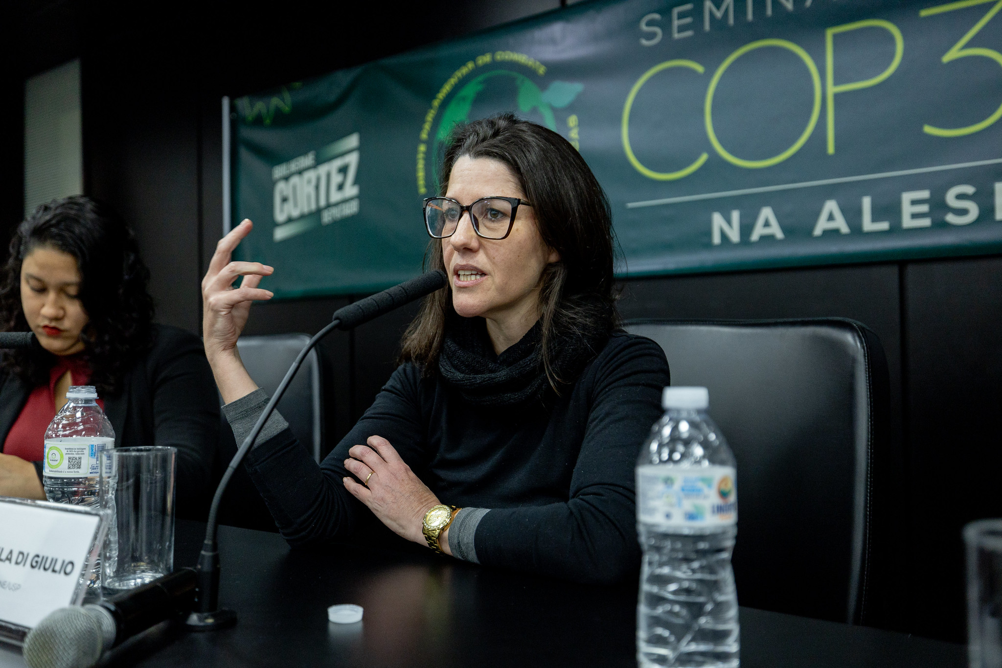 Di Giulio: comprometimento a mdio e longo prazo<a style='float:right;color:#ccc' href='https://www3.al.sp.gov.br/repositorio/noticia/N-06-2025/fg347087.jpg' target=_blank><i class='bi bi-zoom-in'></i> Clique para ver a imagem </a>