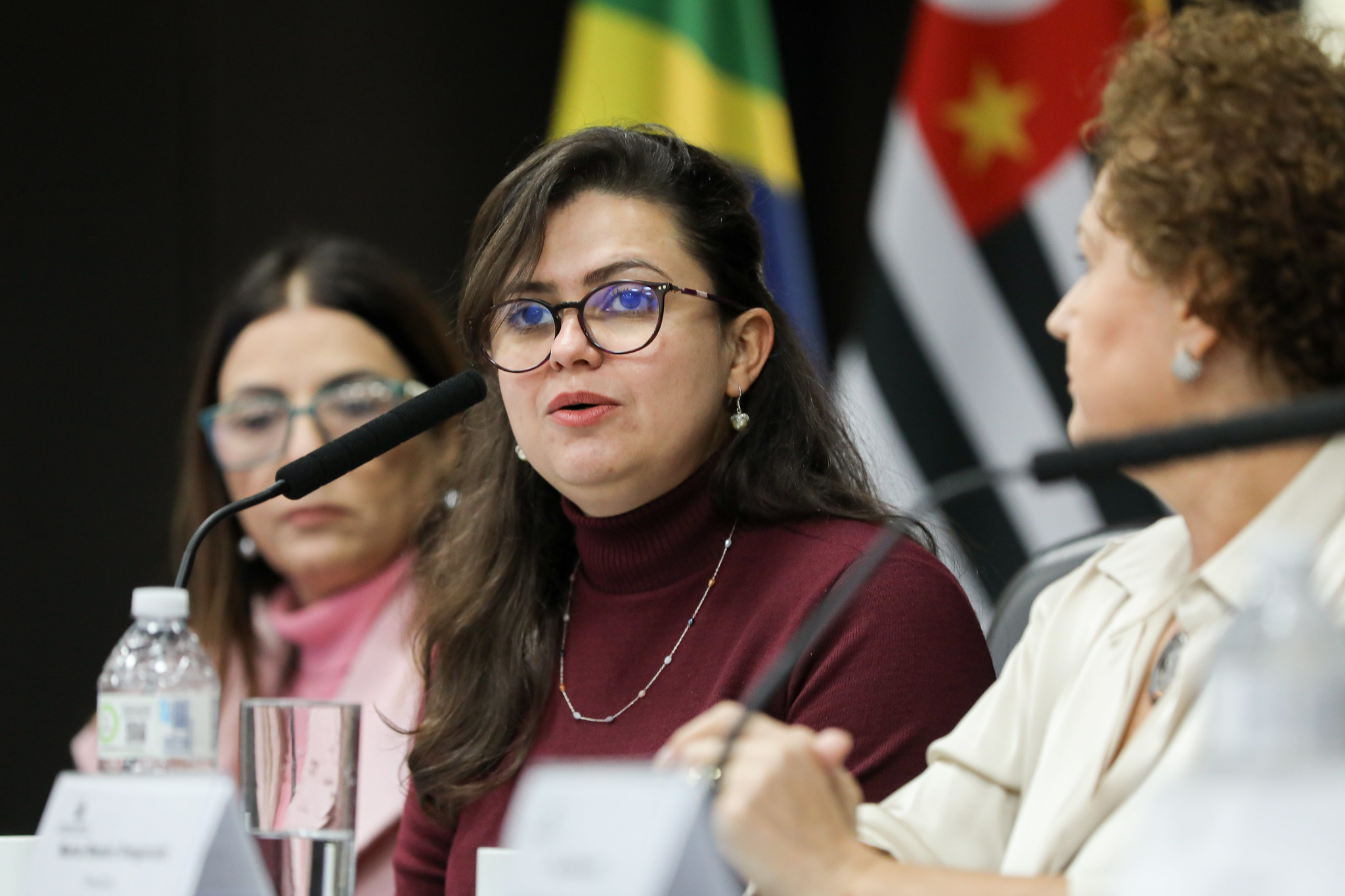 Rosângela: precarização diminui a arrecadação<a style='float:right;color:#ccc' href='https://www3.al.sp.gov.br/repositorio/noticia/N-06-2025/fg347441.jpg' target=_blank><i class='bi bi-zoom-in'></i> Clique para ver a imagem </a>