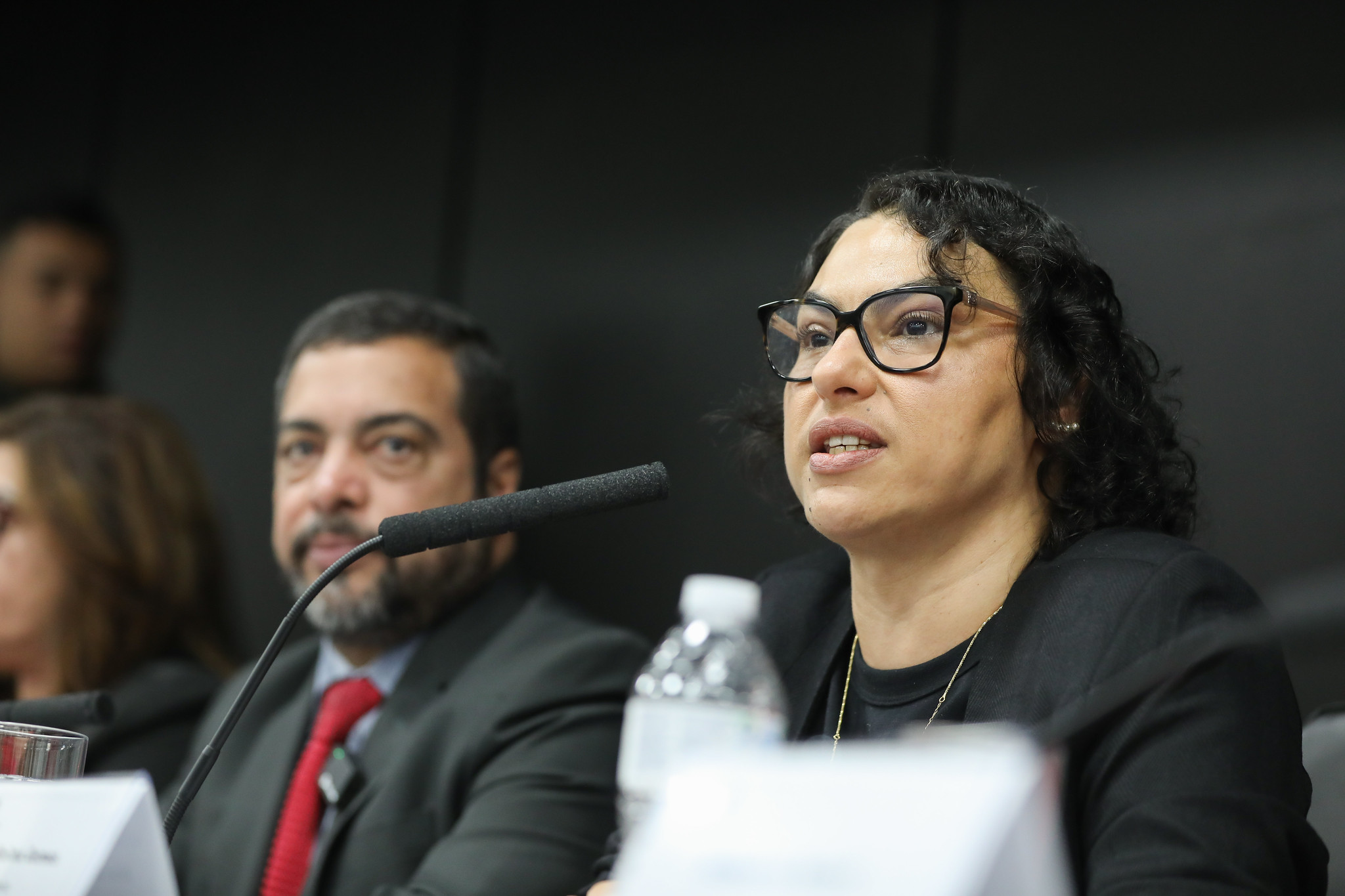 Aline: retirar direitos e desorganizar sindicatos <a style='float:right;color:#ccc' href='https://www3.al.sp.gov.br/repositorio/noticia/N-06-2025/fg347442.jpg' target=_blank><i class='bi bi-zoom-in'></i> Clique para ver a imagem </a>