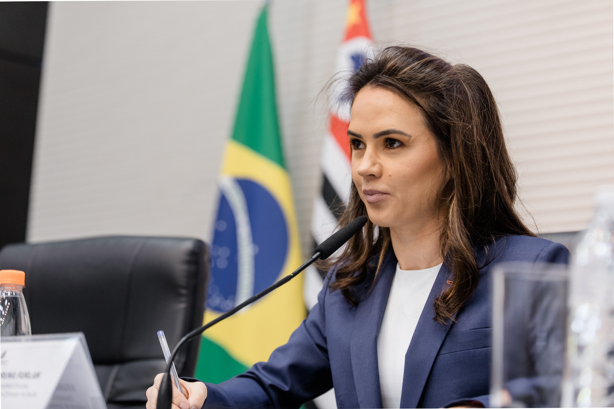 Deputada Bruna Furlan, presidente da Comissão<a style='float:right;color:#ccc' href='https://www3.al.sp.gov.br/repositorio/noticia/N-06-2025/fg348040.jpg' target=_blank><i class='bi bi-zoom-in'></i> Clique para ver a imagem </a>