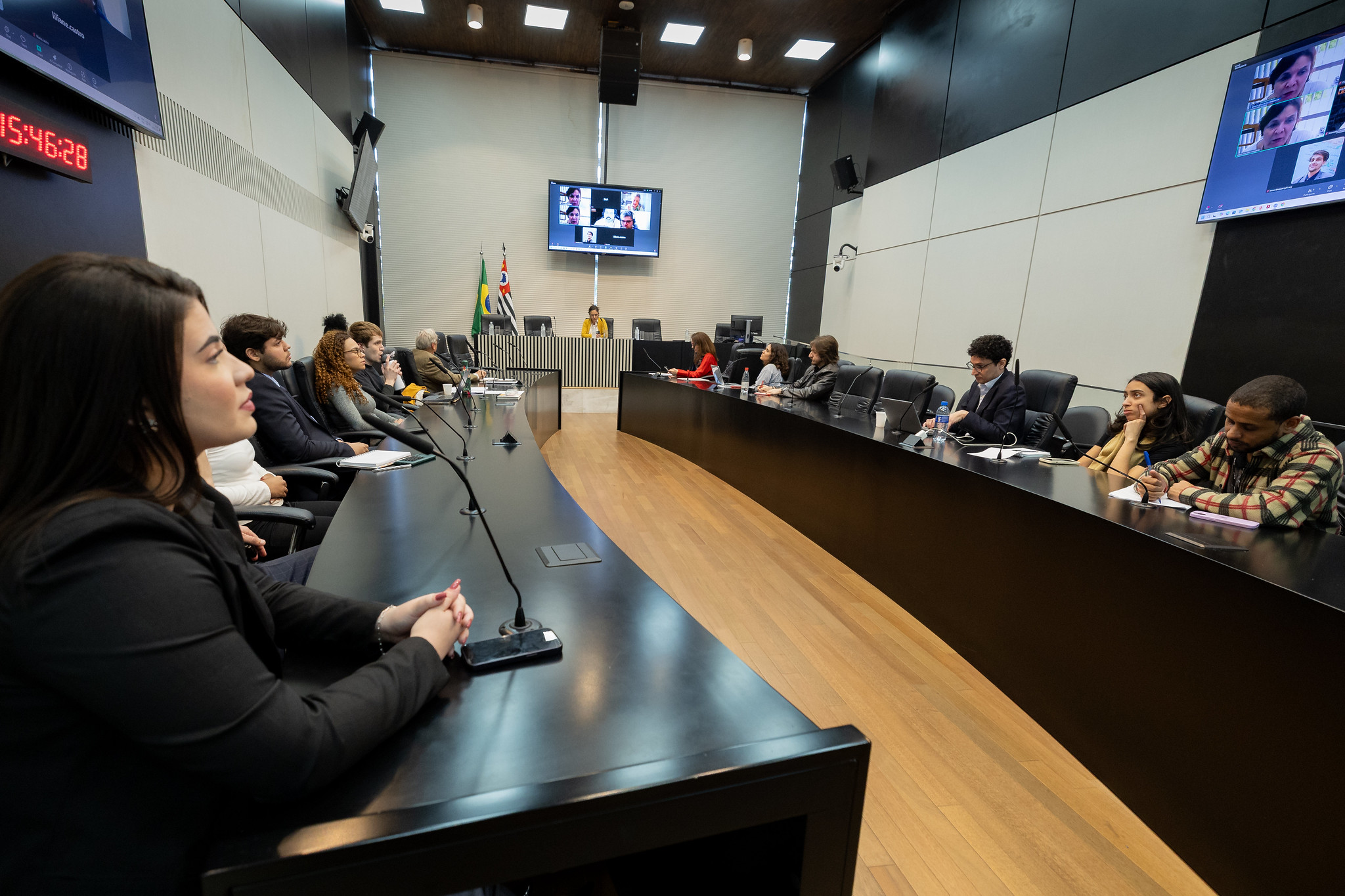 Audincia pblica no plenrio D.Pedro I<a style='float:right;color:#ccc' href='https://www3.al.sp.gov.br/repositorio/noticia/N-06-2025/fg348298.jpg' target=_blank><i class='bi bi-zoom-in'></i> Clique para ver a imagem </a>