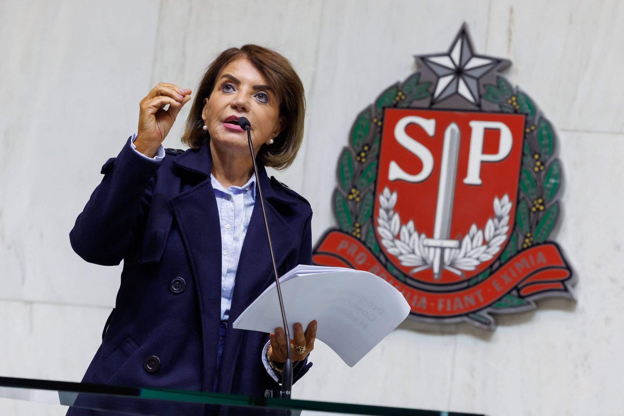 Prof. Bebel<a style='float:right' href='https://www3.al.sp.gov.br/repositorio/noticia/N-06-2026/fg365764.jpg' target=_blank><img src='/_img/material-file-download-white.png' width='14px' alt='Clique para baixar a imagem'></a>