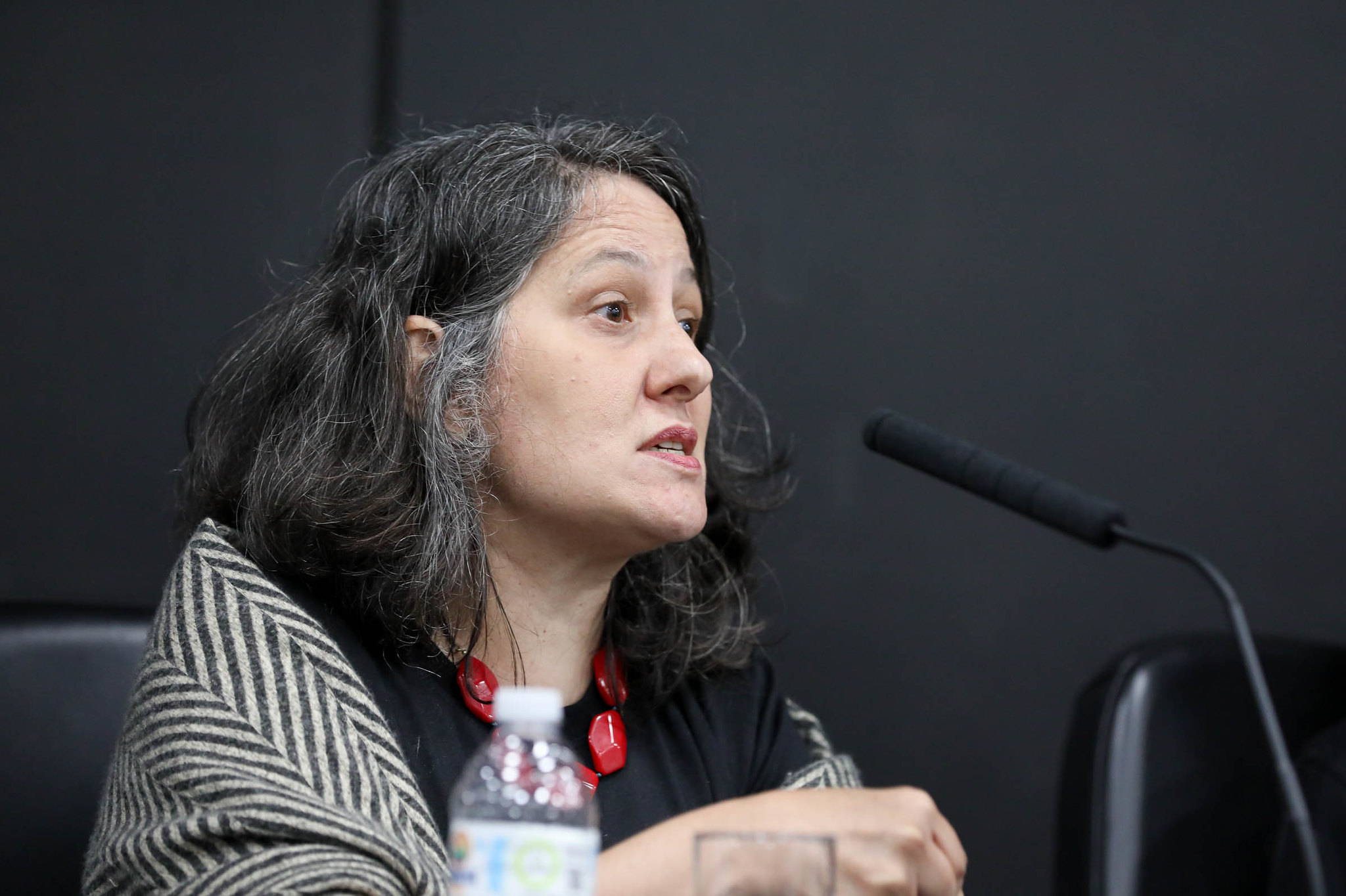 Carol: v�nculo saud�vel entre pai e filho<a style='float:right;color:#ccc' href='https://www3.al.sp.gov.br/repositorio/noticia/N-06-2026/fg365909.jpg' target=_blank><i class='bi bi-zoom-in'></i> Clique para ver a imagem </a>