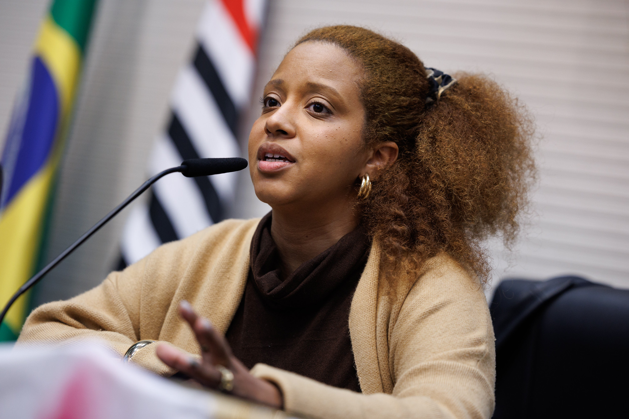 Paula: n�o criminaliza��o da cultura funk<a style='float:right;color:#ccc' href='https://www3.al.sp.gov.br/repositorio/noticia/N-06-2026/fg366063.jpg' target=_blank><i class='bi bi-zoom-in'></i> Clique para ver a imagem </a>