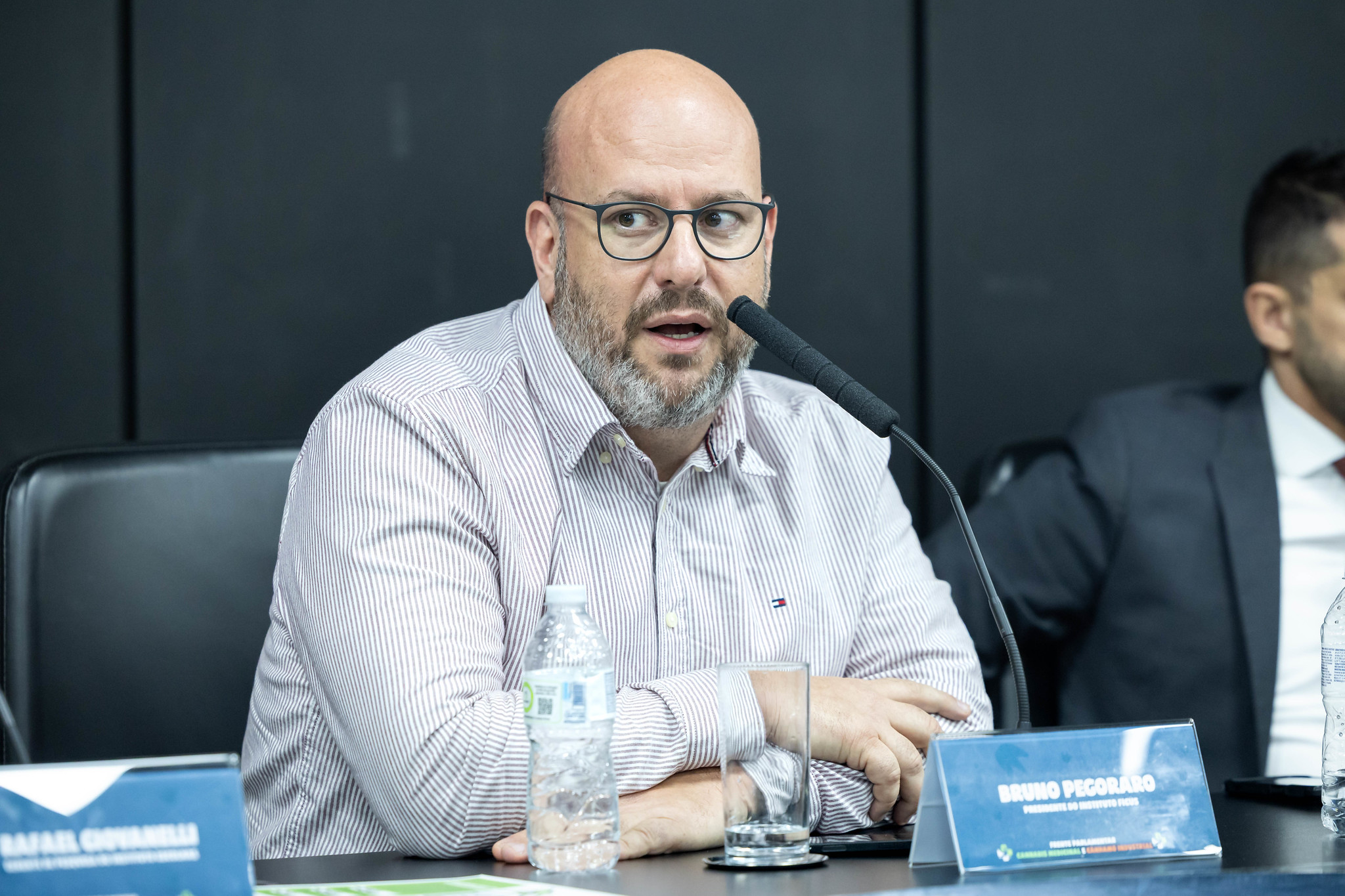 Pegoraro: competitividade no mercado global <a style='float:right;color:#ccc' href='https://www3.al.sp.gov.br/repositorio/noticia/N-06-2026/fg366189.jpg' target=_blank><i class='bi bi-zoom-in'></i> Clique para ver a imagem </a>