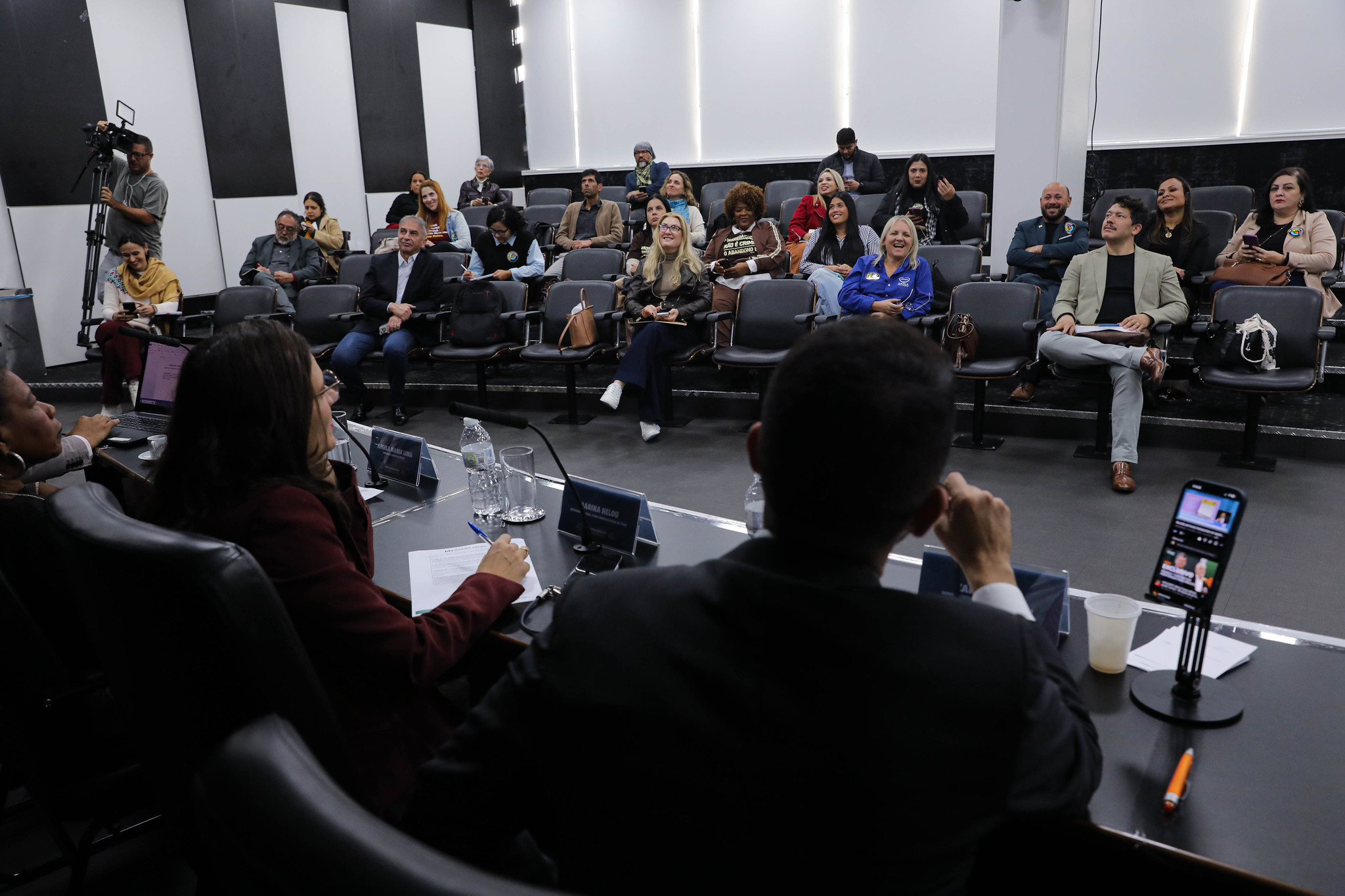 Tema - A Cor da Espera: ra�a inf�ncia e ado��o<a style='float:right;color:#ccc' href='https://www3.al.sp.gov.br/repositorio/noticia/N-06-2026/fg366196.jpg' target=_blank><i class='bi bi-zoom-in'></i> Clique para ver a imagem </a>
