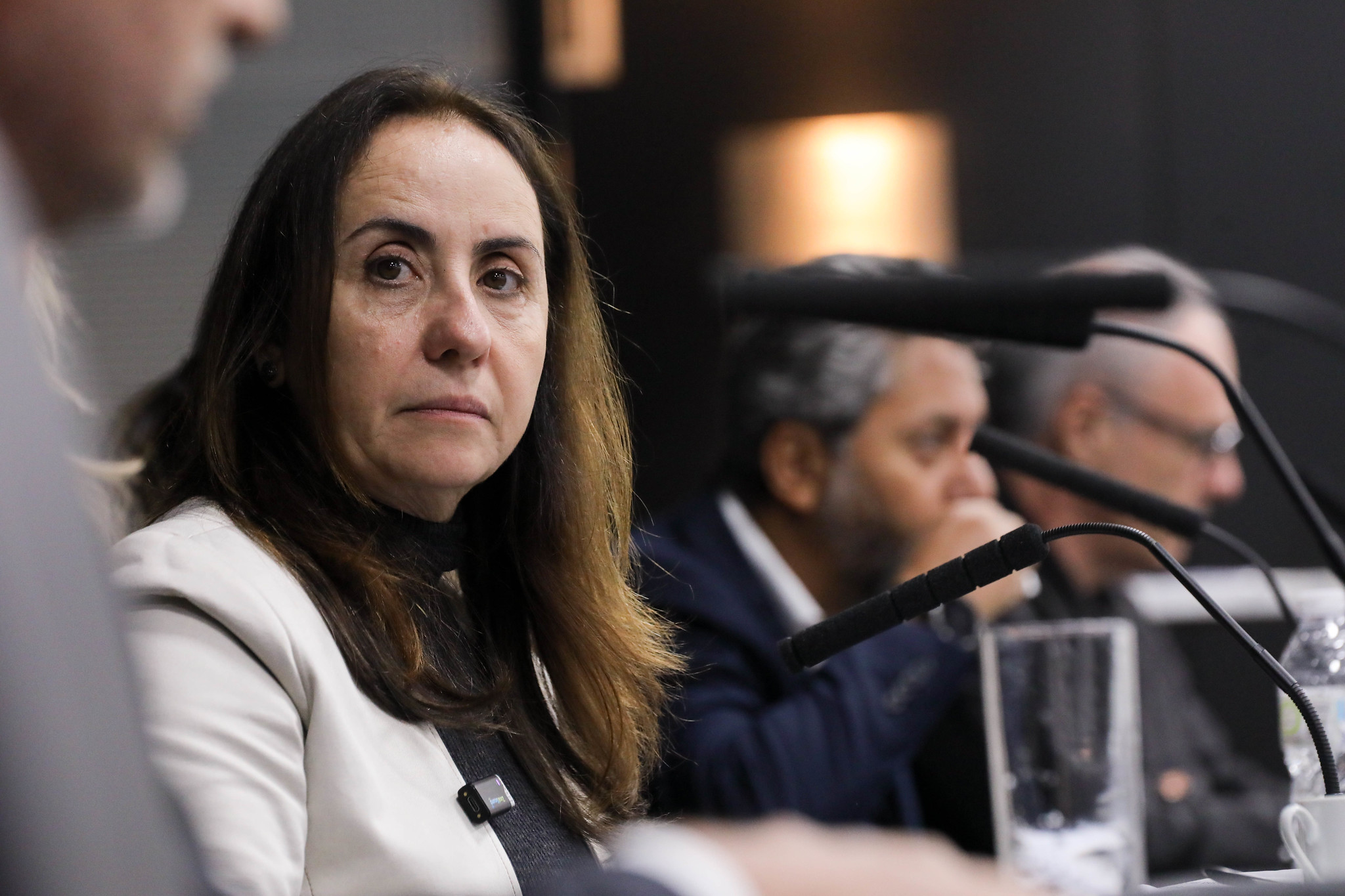 Ventura: ouvir todos os envolvidos<a style='float:right;color:#ccc' href='https://www3.al.sp.gov.br/repositorio/noticia/N-06-2026/fg366269.jpg' target=_blank><i class='bi bi-zoom-in'></i> Clique para ver a imagem </a>