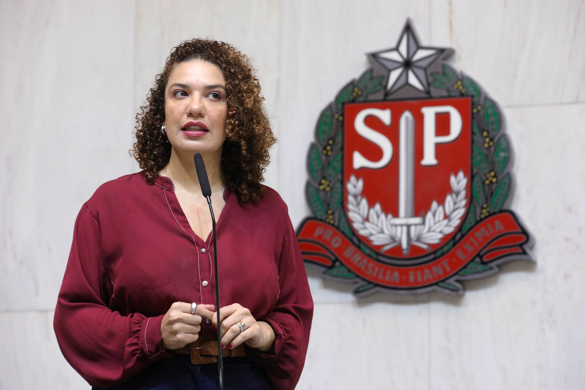  Monica Seixas do Movimento Pretas (Psol) <a style='float:right;color:#ccc' href='https://www3.al.sp.gov.br/repositorio/noticia/N-06-2026/fg366383.jpg' target=_blank><i class='bi bi-zoom-in'></i> Clique para ver a imagem </a>