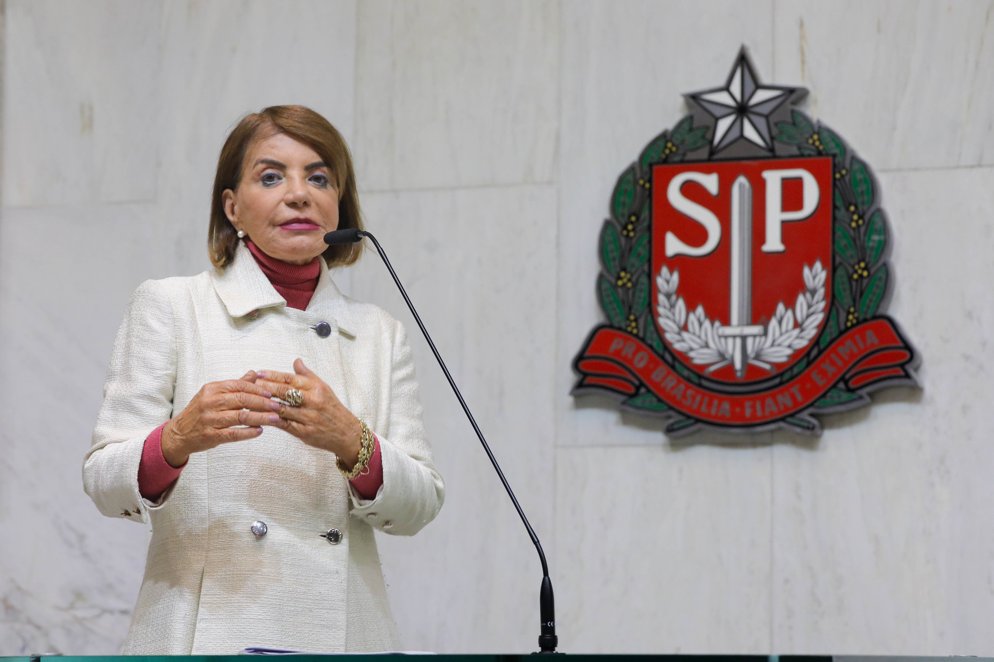 Professora Bebel (PT)<a style='float:right;color:#ccc' href='https://www3.al.sp.gov.br/repositorio/noticia/N-06-2026/fg366390.jpg' target=_blank><i class='bi bi-zoom-in'></i> Clique para ver a imagem </a>