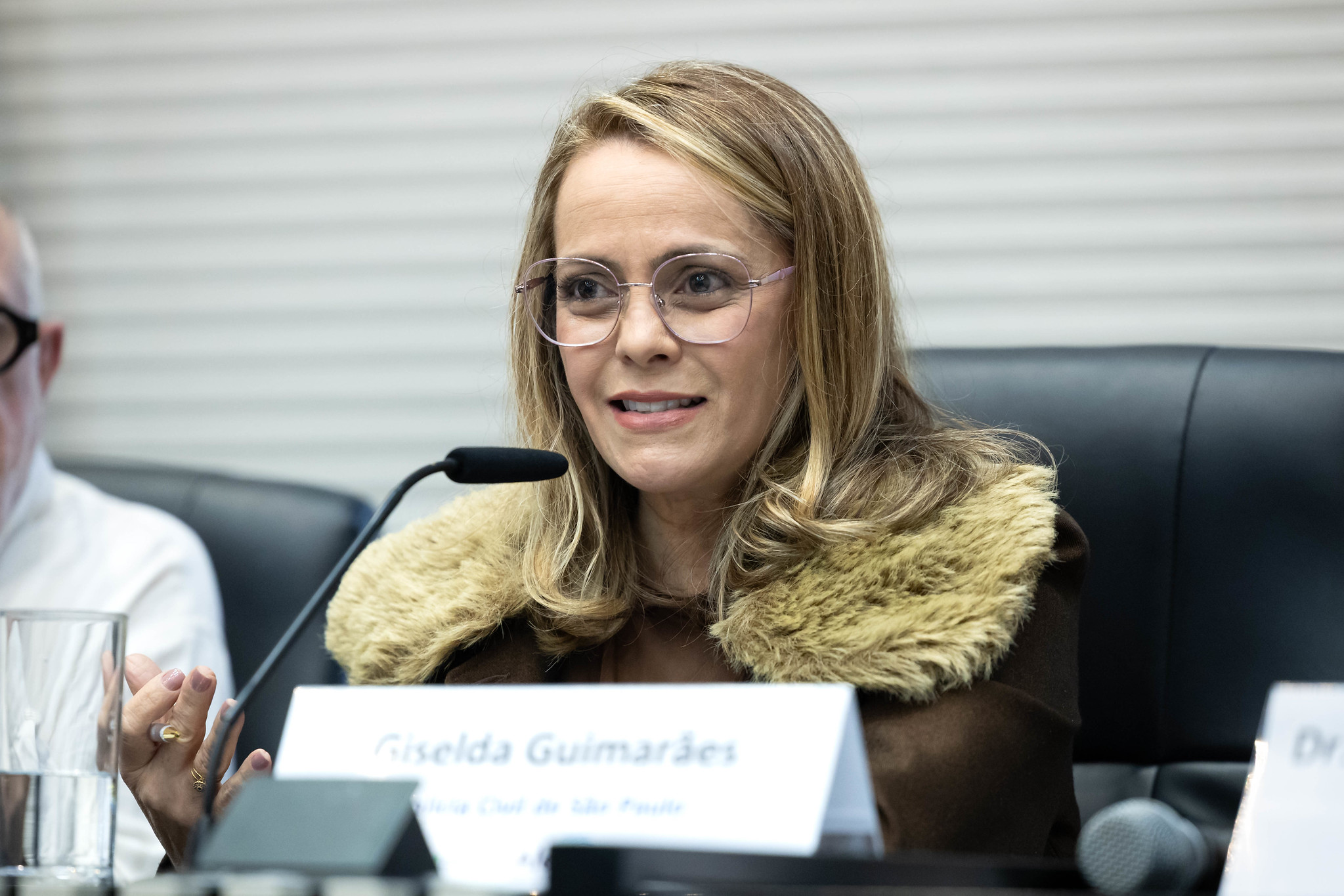 Giselda Guimar�es<a style='float:right;color:#ccc' href='https://www3.al.sp.gov.br/repositorio/noticia/N-06-2026/fg366565.jpg' target=_blank><i class='bi bi-zoom-in'></i> Clique para ver a imagem </a>