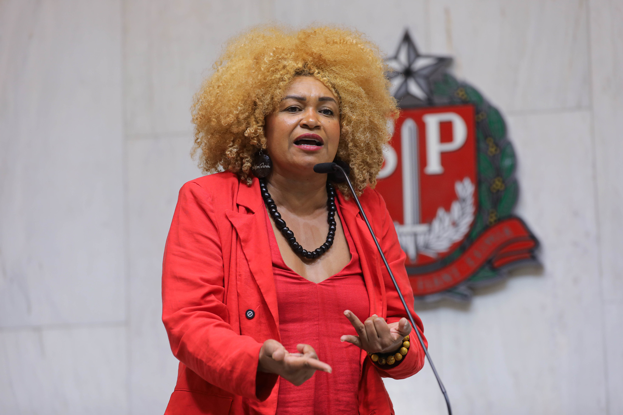 Ediane Maria (Psol)<a style='float:right;color:#ccc' href='https://www3.al.sp.gov.br/repositorio/noticia/N-06-2026/fg366648.jpg' target=_blank><i class='bi bi-zoom-in'></i> Clique para ver a imagem </a>