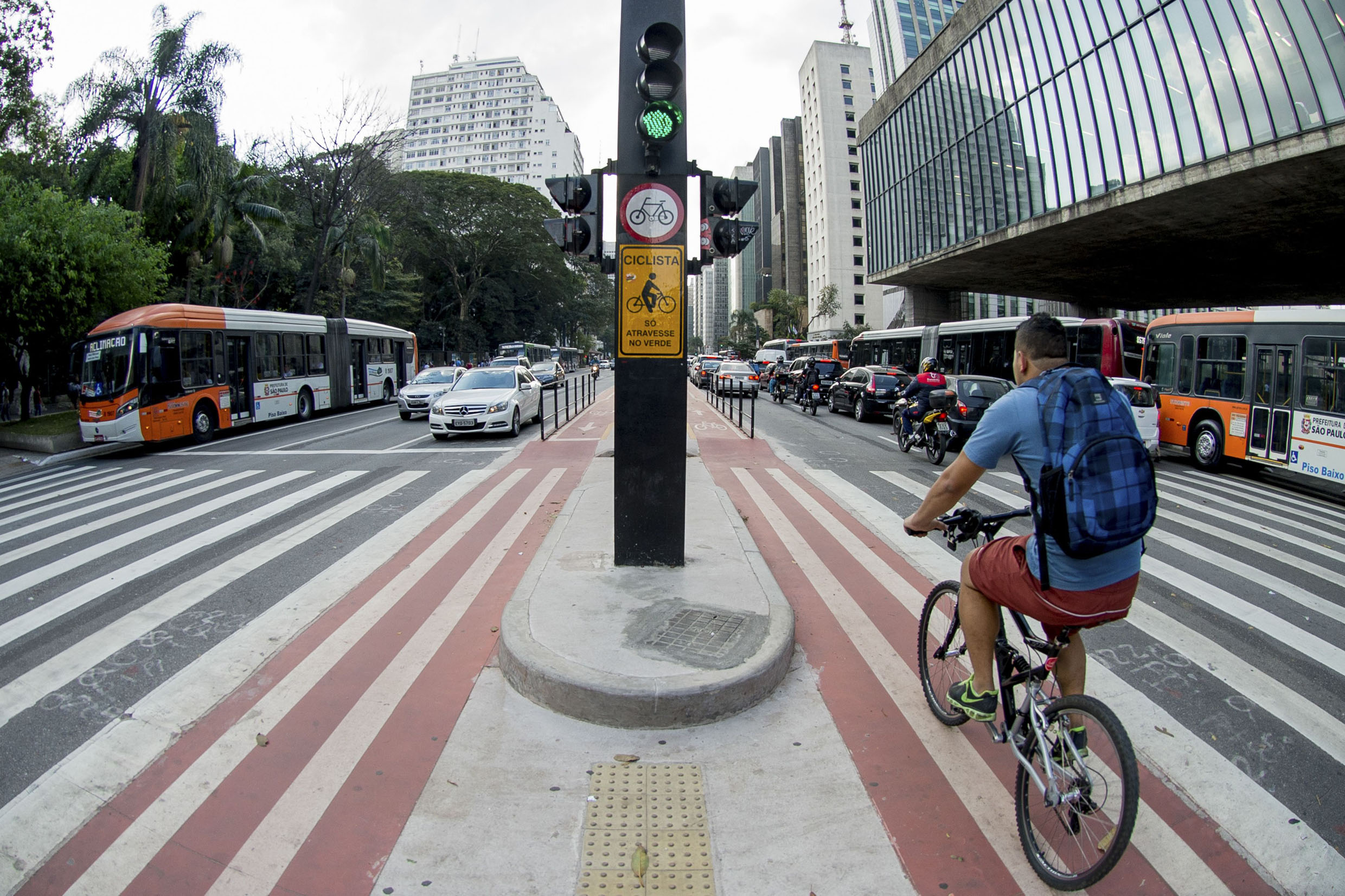 Ciclovia da Avenida Paulista<a style='float:right;color:#ccc' href='https://www3.al.sp.gov.br/repositorio/noticia/N-07-2017/fg205689.jpg' target=_blank><i class='bi bi-zoom-in'></i> Clique para ver a imagem </a>