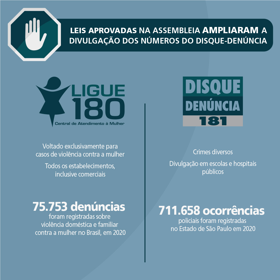 Infográfico<a style='float:right' href='https://www3.al.sp.gov.br/repositorio/noticia/N-07-2021/doc270523.jpg' target=_blank><img src='/_img/material-file-download-white.png' width='14px' alt='Clique para baixar a imagem'></a>