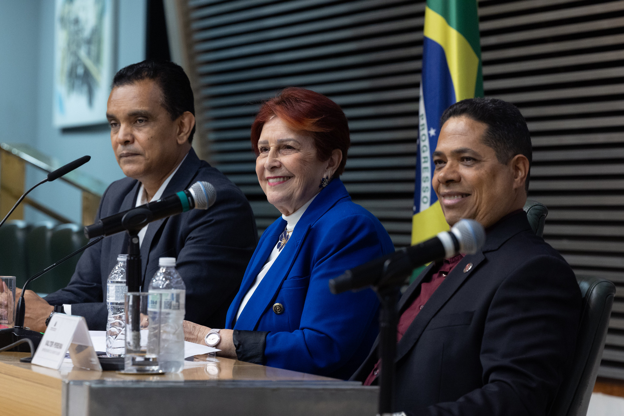 Deputada Edna Macedo, proponente da Sesso Solene<a style='float:right;color:#ccc' href='https://www3.al.sp.gov.br/repositorio/noticia/N-07-2024/fg330025.jpg' target=_blank><i class='bi bi-zoom-in'></i> Clique para ver a imagem </a>