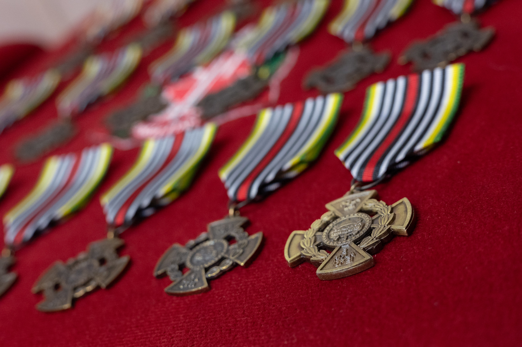 Medalha da Constituição<a style='float:right;color:#ccc' href='https://www3.al.sp.gov.br/repositorio/noticia/N-07-2024/fg330482.jpg' target=_blank><i class='bi bi-zoom-in'></i> Clique para ver a imagem </a>