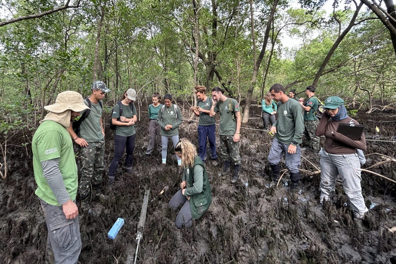 FF e USP faro pesquisa nos mangues paulistas<a style='float:right;color:#ccc' href='https://www3.al.sp.gov.br/repositorio/noticia/N-07-2025/fg349999.jpg' target=_blank><i class='bi bi-zoom-in'></i> Clique para ver a imagem </a>