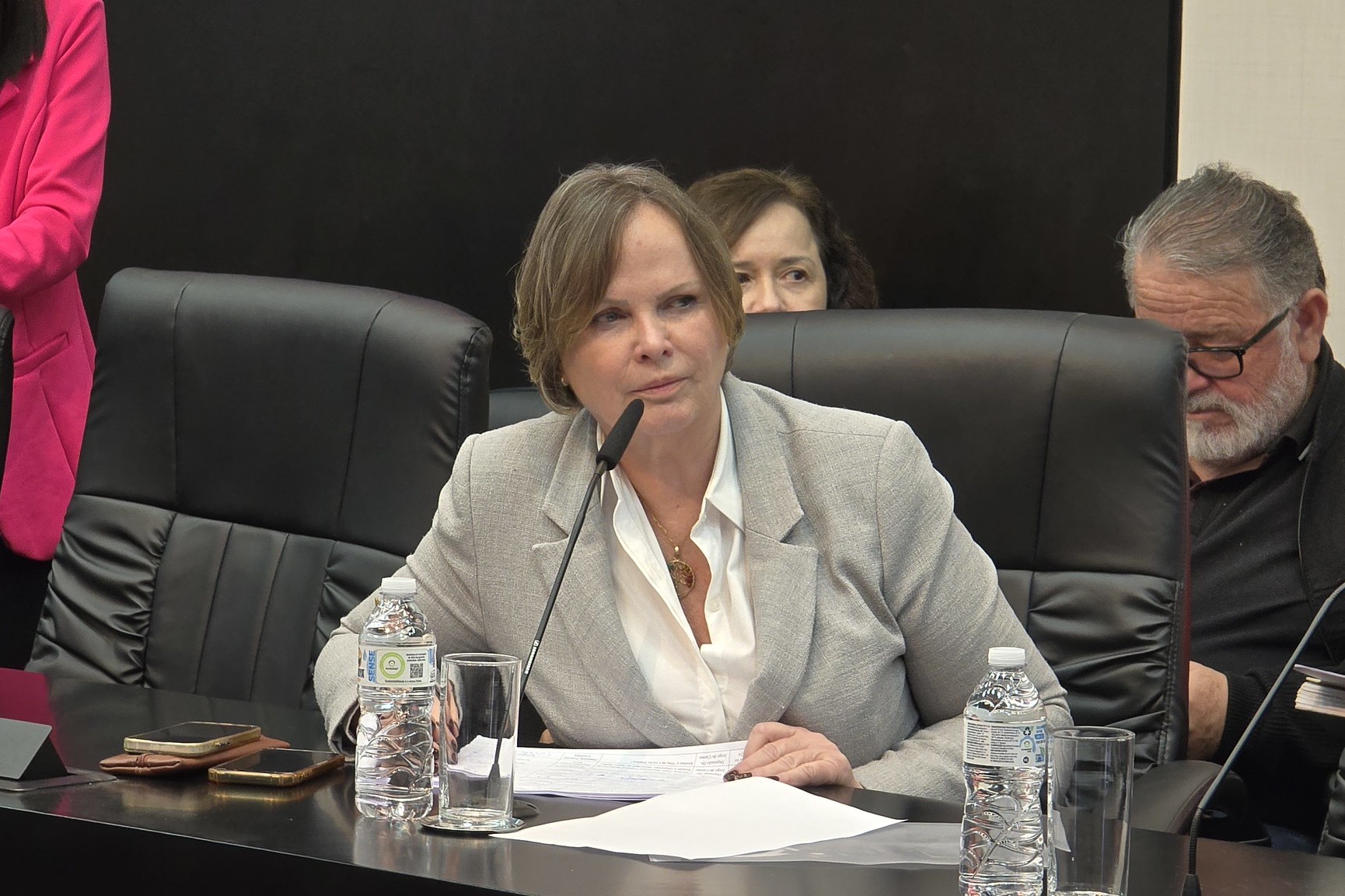 Deputada Ana Perugini<a style='float:right;color:#ccc' href='https://www3.al.sp.gov.br/repositorio/noticia/N-07-2026/fg366798.jpg' target=_blank><i class='bi bi-zoom-in'></i> Clique para ver a imagem </a>