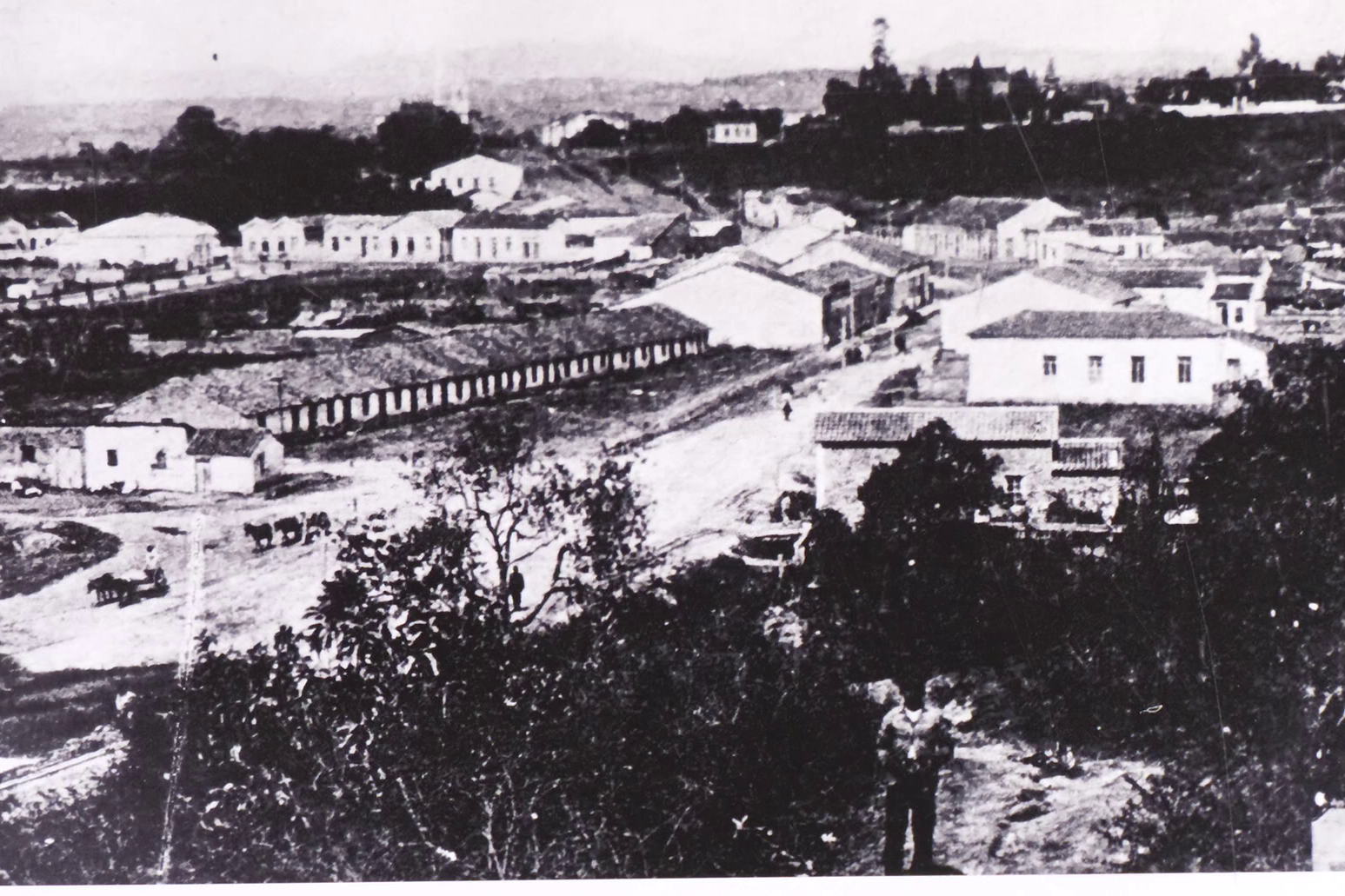 Variedade surgiu na cidade na d�cada de 1930<a style='float:right;color:#ccc' href='https://www3.al.sp.gov.br/repositorio/noticia/N-07-2026/fg367140.png' target=_blank><i class='bi bi-zoom-in'></i> Clique para ver a imagem </a>