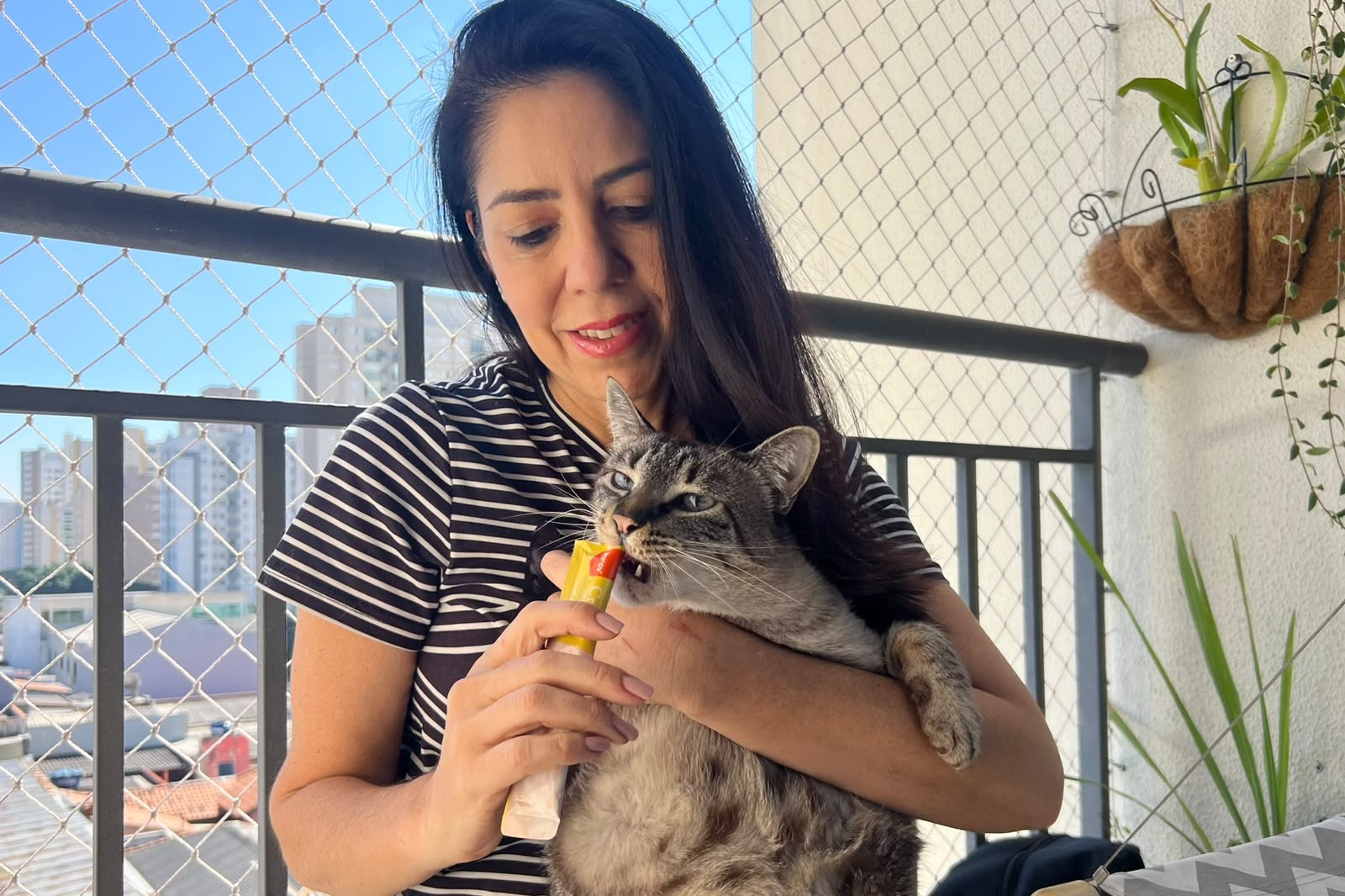Pet sitter � um dos novos MEIs em expans�o em SP<a style='float:right;color:#ccc' href='https://www3.al.sp.gov.br/repositorio/noticia/N-07-2026/fg367183.jpg' target=_blank><i class='bi bi-zoom-in'></i> Clique para ver a imagem </a>