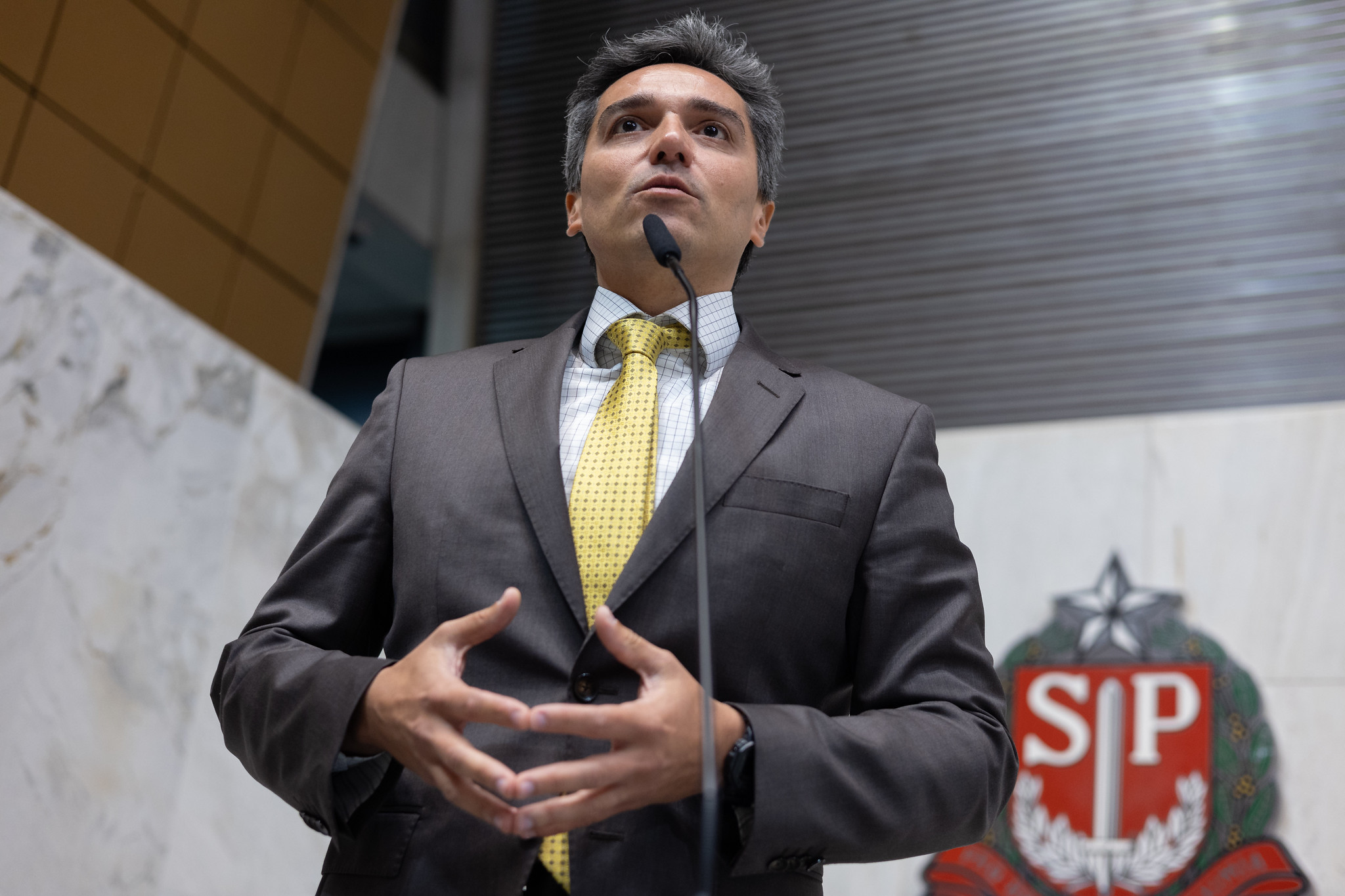 Paulo Mansur: fiscalizao de Poderes<a style='float:right;color:#ccc' href='https://www3.al.sp.gov.br/repositorio/noticia/N-08-2024/fg332276.jpg' target=_blank><i class='bi bi-zoom-in'></i> Clique para ver a imagem </a>