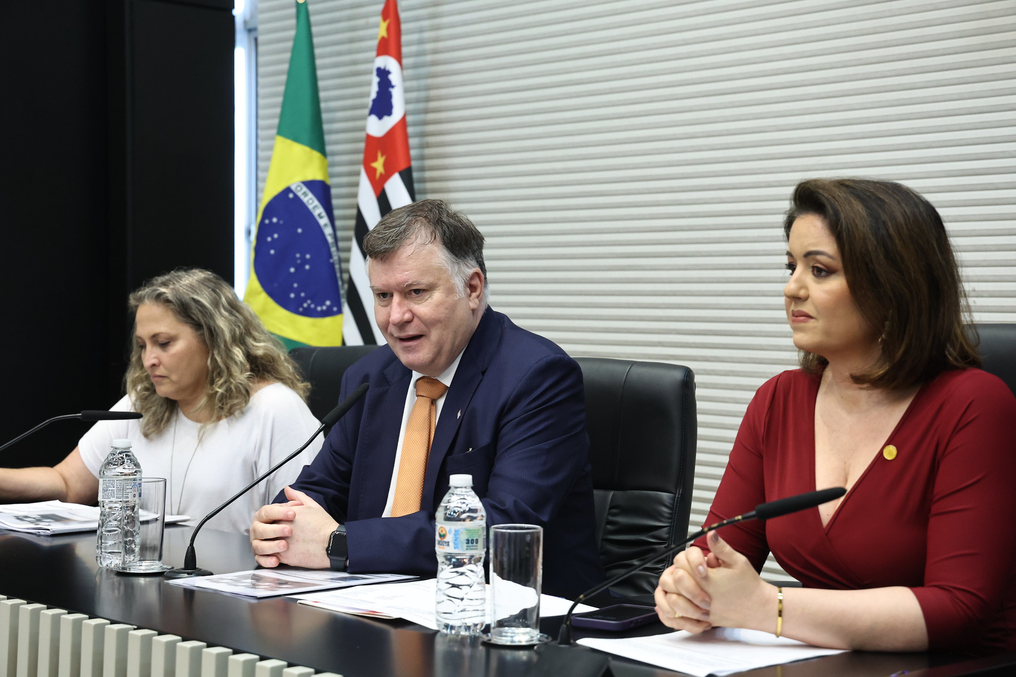 Defesa dos Direitos da Pessoa com Deficincia<a style='float:right;color:#ccc' href='https://www3.al.sp.gov.br/repositorio/noticia/N-08-2024/fg332780.jpg' target=_blank><i class='bi bi-zoom-in'></i> Clique para ver a imagem </a>