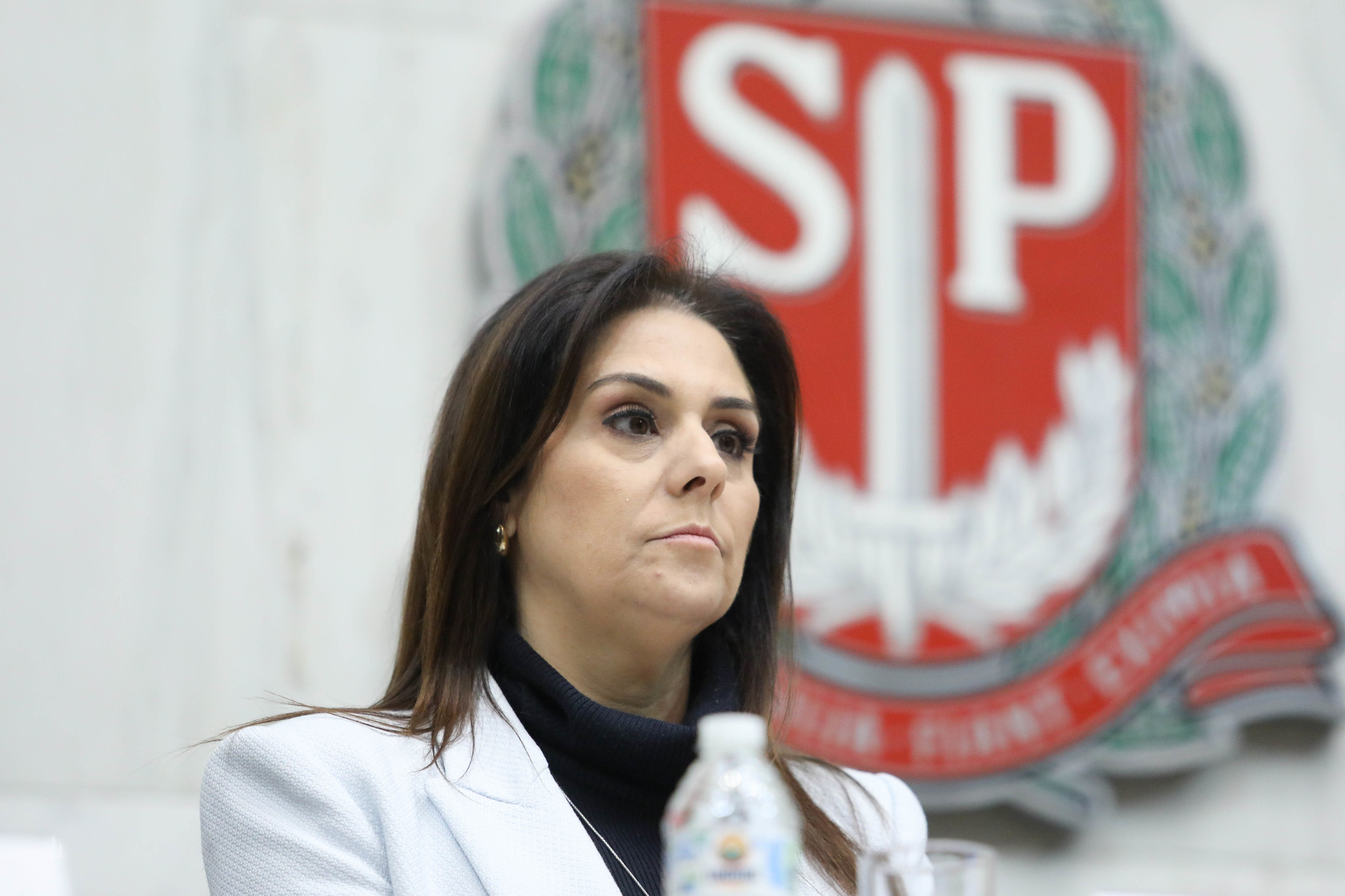 Deputada Federal Simone Marquetto (MDB)<a style='float:right;color:#ccc' href='https://www3.al.sp.gov.br/repositorio/noticia/N-08-2024/fg333102.jpg' target=_blank><i class='bi bi-zoom-in'></i> Clique para ver a imagem </a>