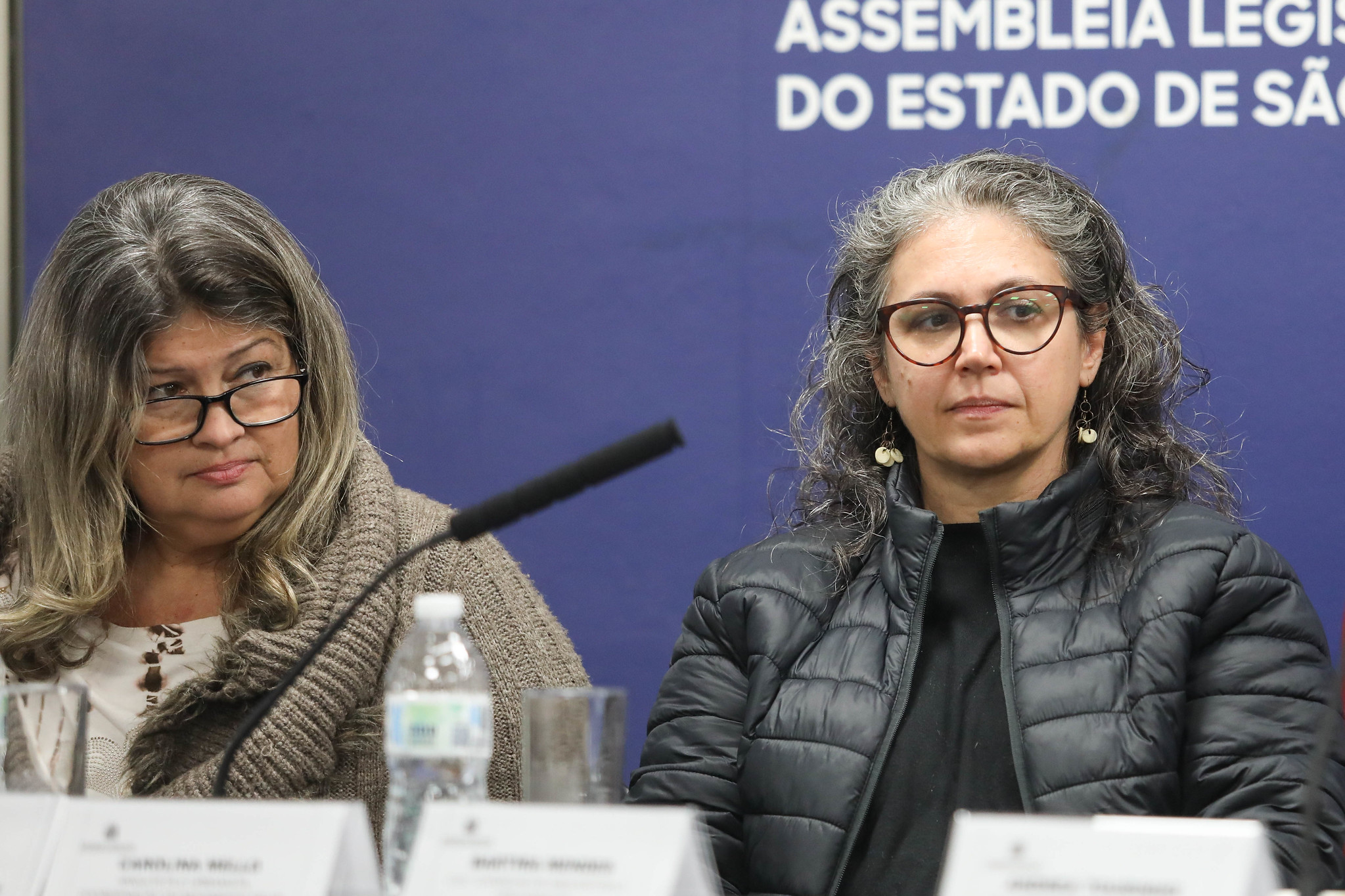 Ftima Scarpari e Carolina Mello<a style='float:right;color:#ccc' href='https://www3.al.sp.gov.br/repositorio/noticia/N-08-2024/fg333250.jpg' target=_blank><i class='bi bi-zoom-in'></i> Clique para ver a imagem </a>