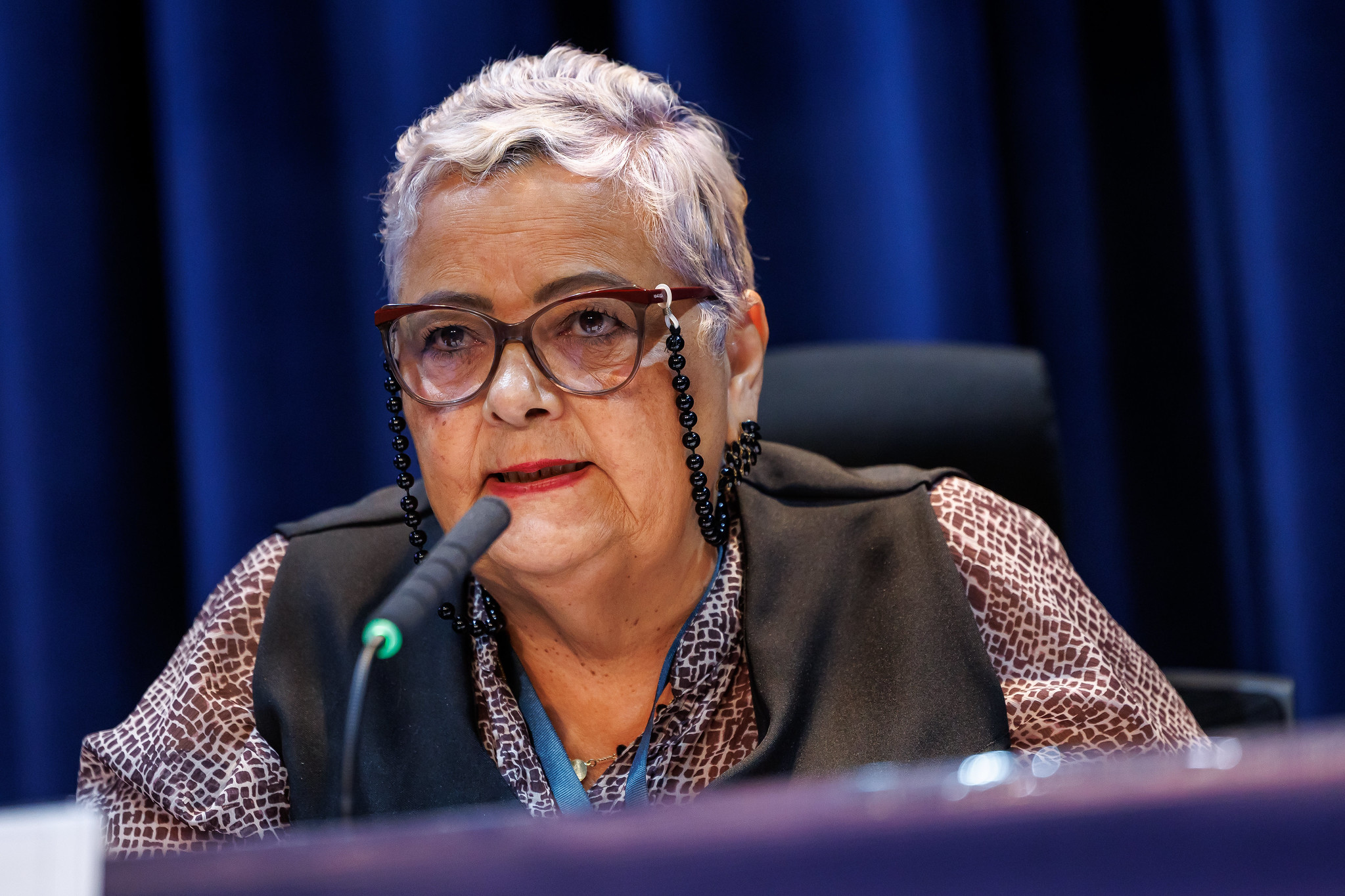 Isaura Martins - necessidade de novas regras<a style='float:right;color:#ccc' href='https://www3.al.sp.gov.br/repositorio/noticia/N-08-2025/fg350827.jpg' target=_blank><i class='bi bi-zoom-in'></i> Clique para ver a imagem </a>