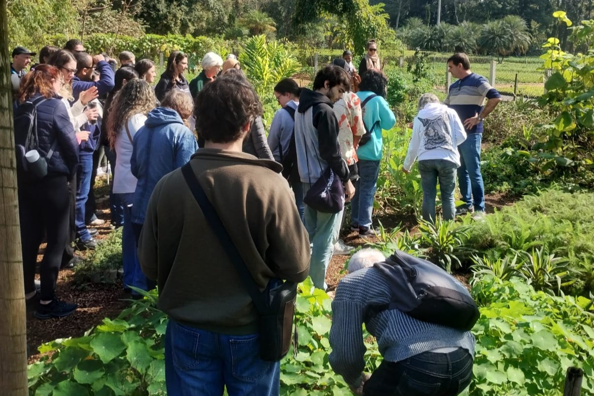 Curso Fitoterapia e Plantas Medicinais - Arquivo<a style='float:right;color:#ccc' href='https://www3.al.sp.gov.br/repositorio/noticia/N-08-2025/fg351289.jpeg' target=_blank><i class='bi bi-zoom-in'></i> Clique para ver a imagem </a>