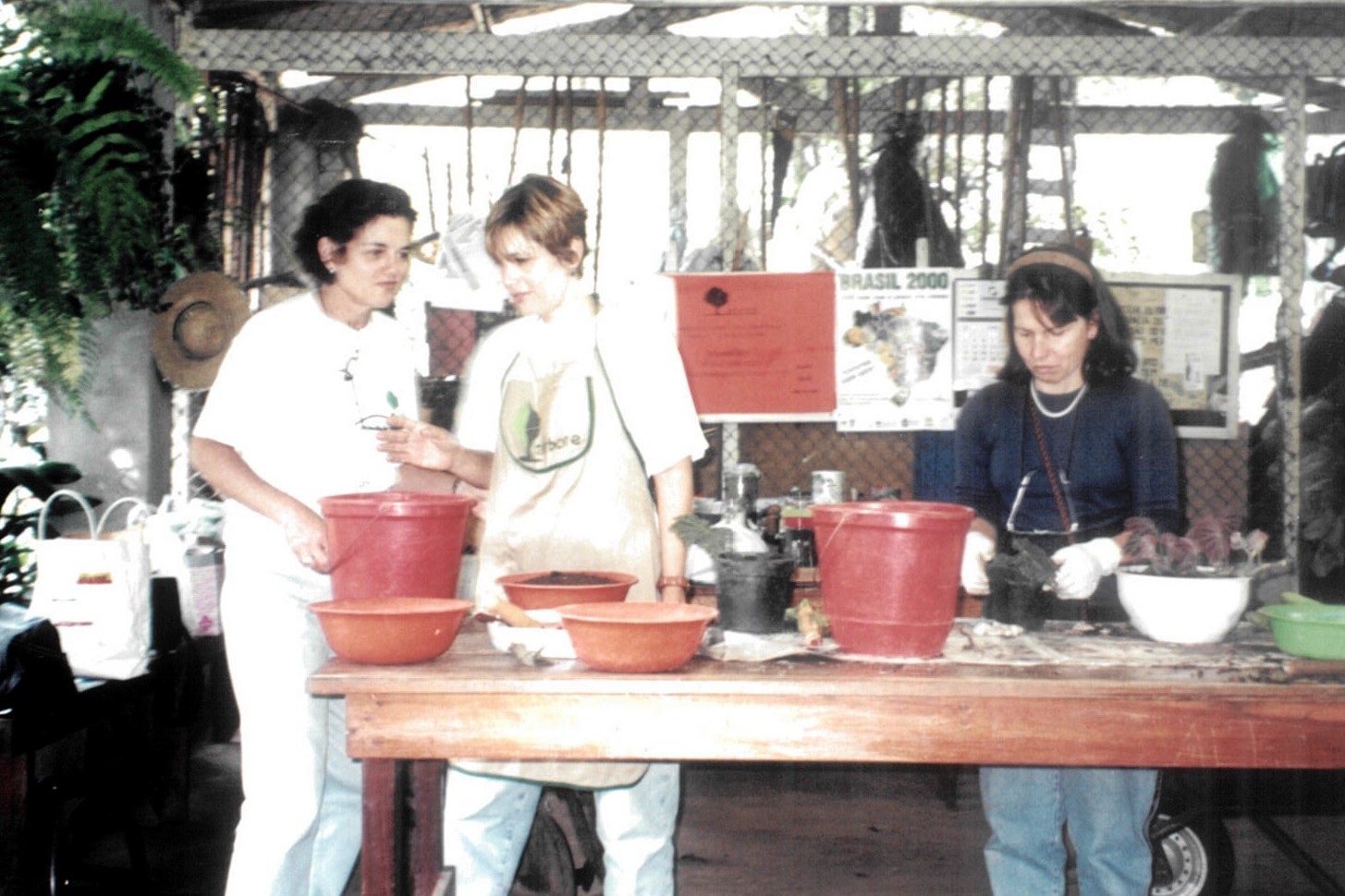 Aula de Jardinagem EMJ - 2000 - Arquivo<a style='float:right;color:#ccc' href='https://www3.al.sp.gov.br/repositorio/noticia/N-08-2025/fg351290.jpeg' target=_blank><i class='bi bi-zoom-in'></i> Clique para ver a imagem </a>
